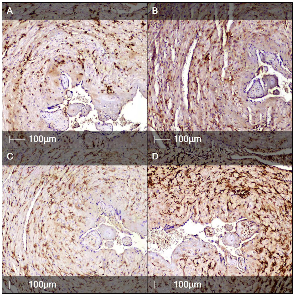 Clinpract 12 00061 g004
