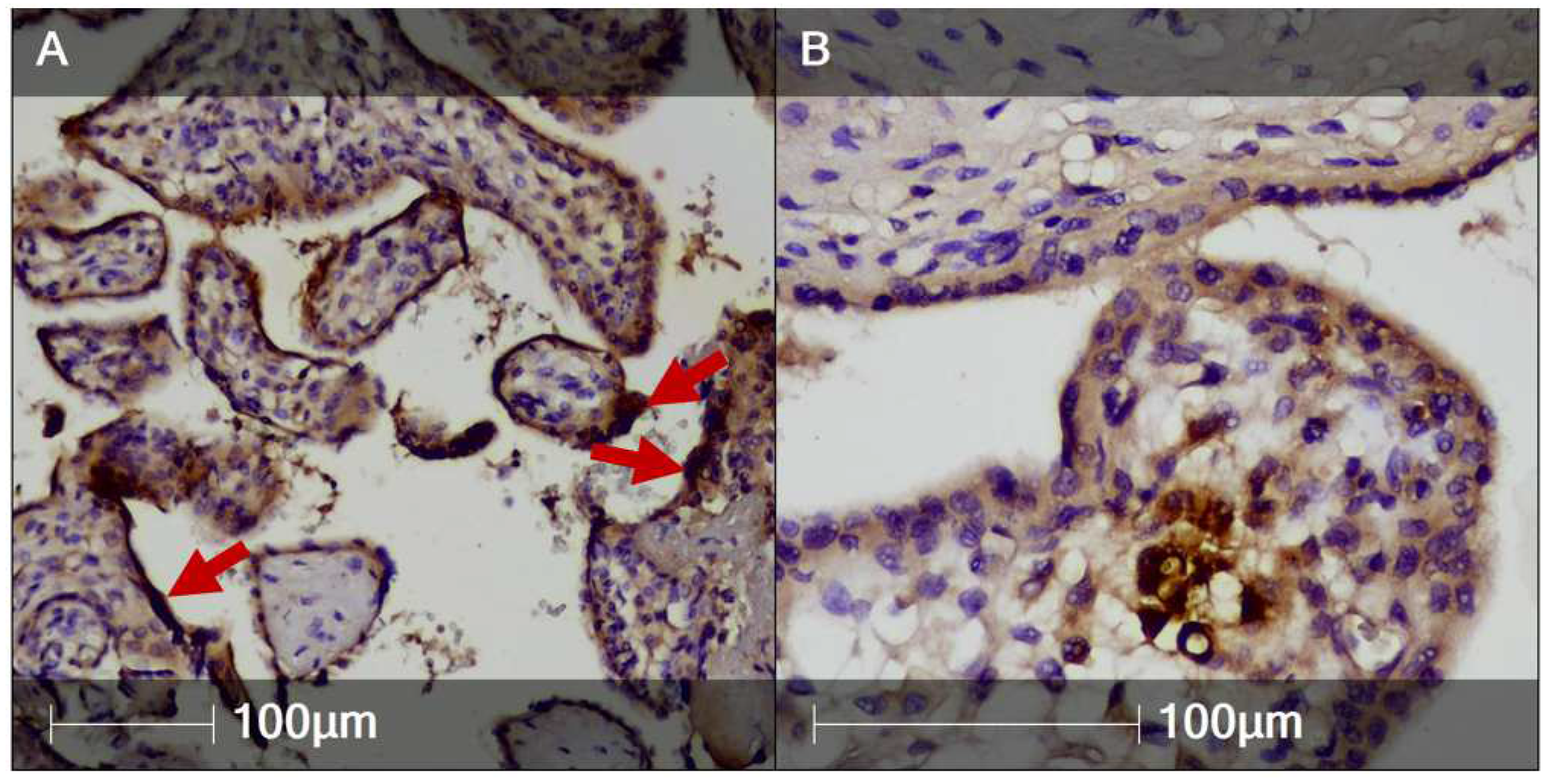 Clinpract 12 00061 g005