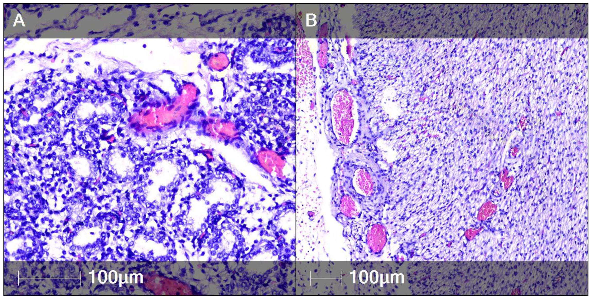 Clinpract 12 00061 g006