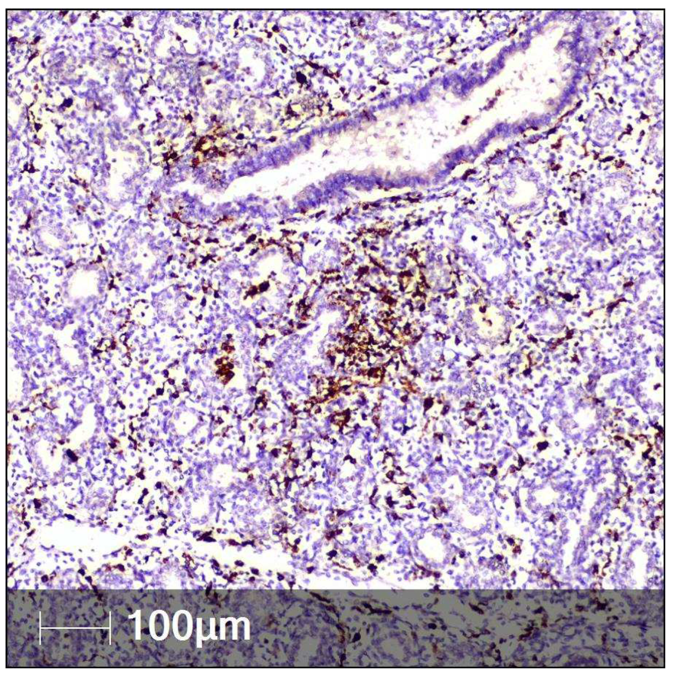 Clinpract 12 00061 g007