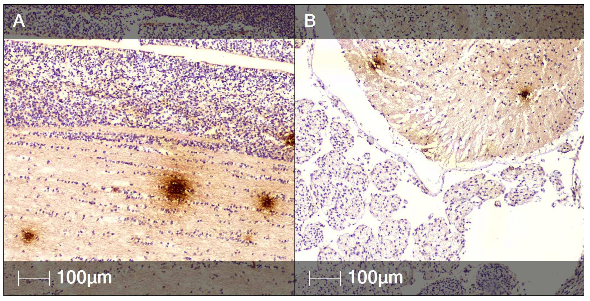 Clinpract 12 00061 g008a