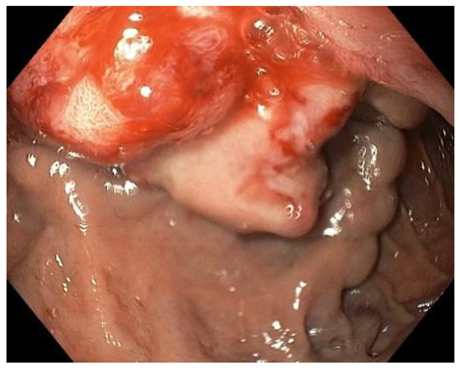 Clinpract 12 00071 g001