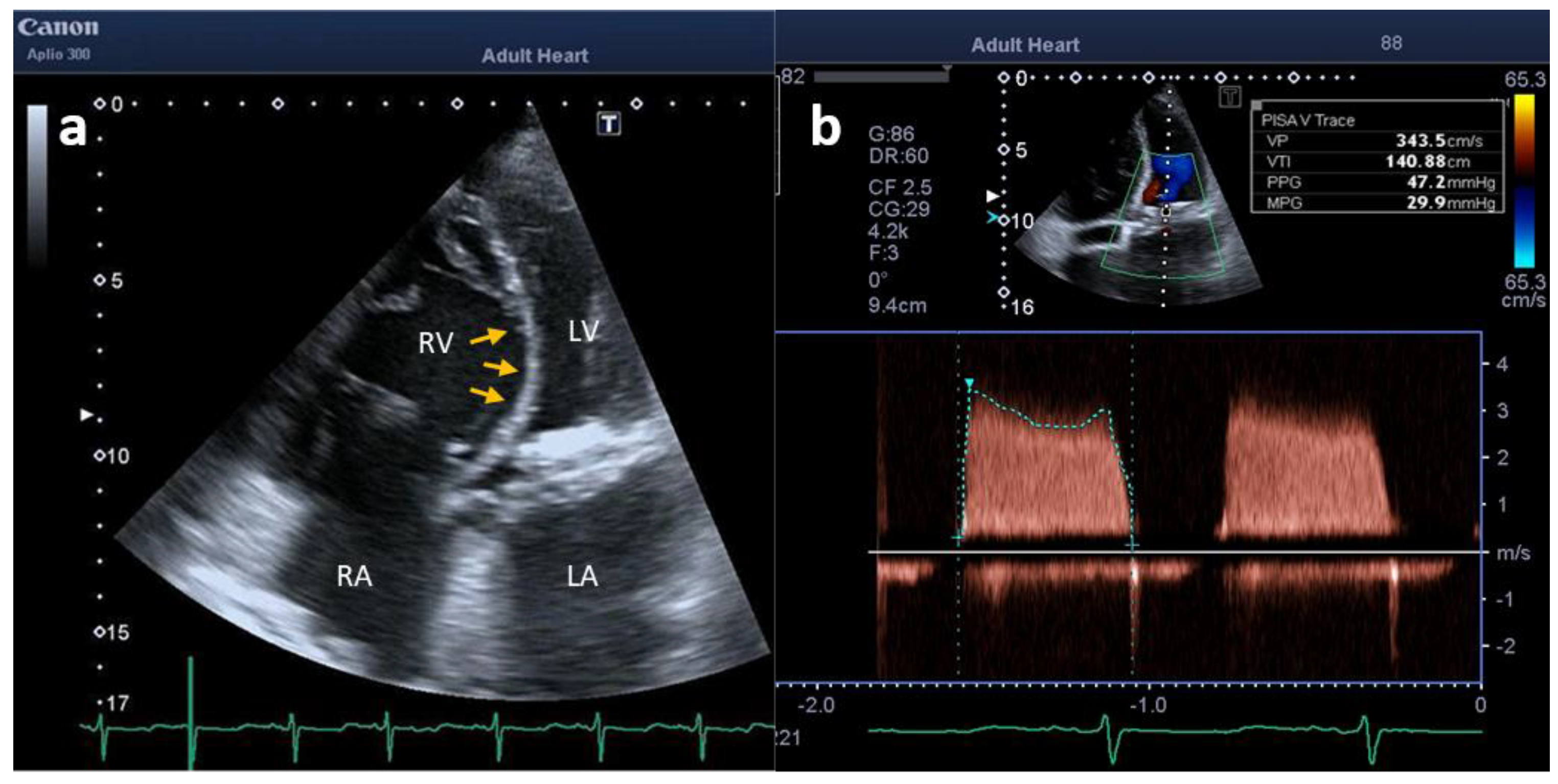 Clinpract 12 00071 g002