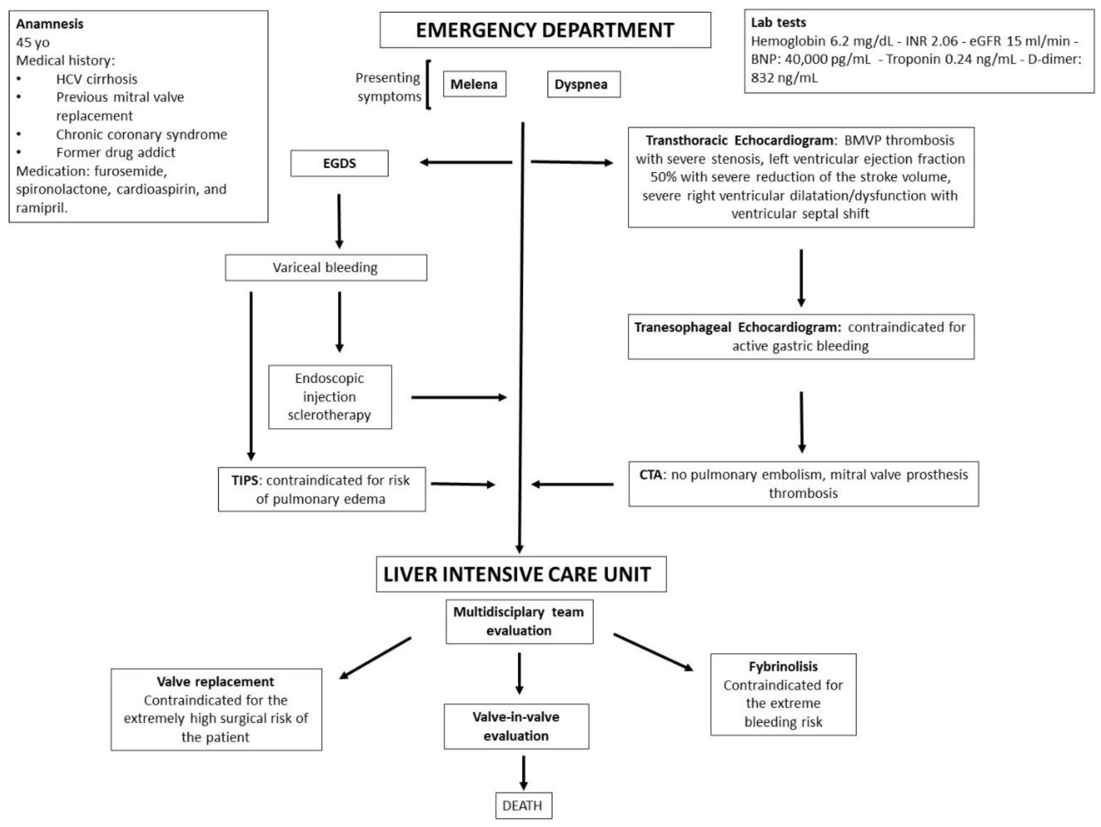 Clinpract 12 00071 g004
