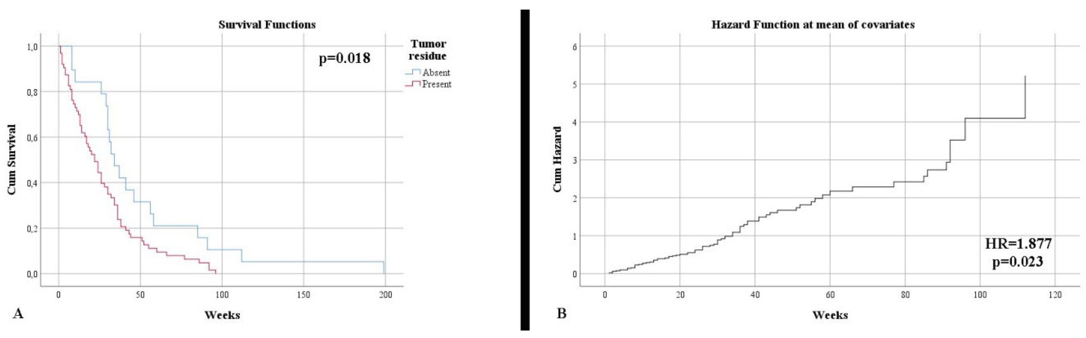 Clinpract 12 00073 g002