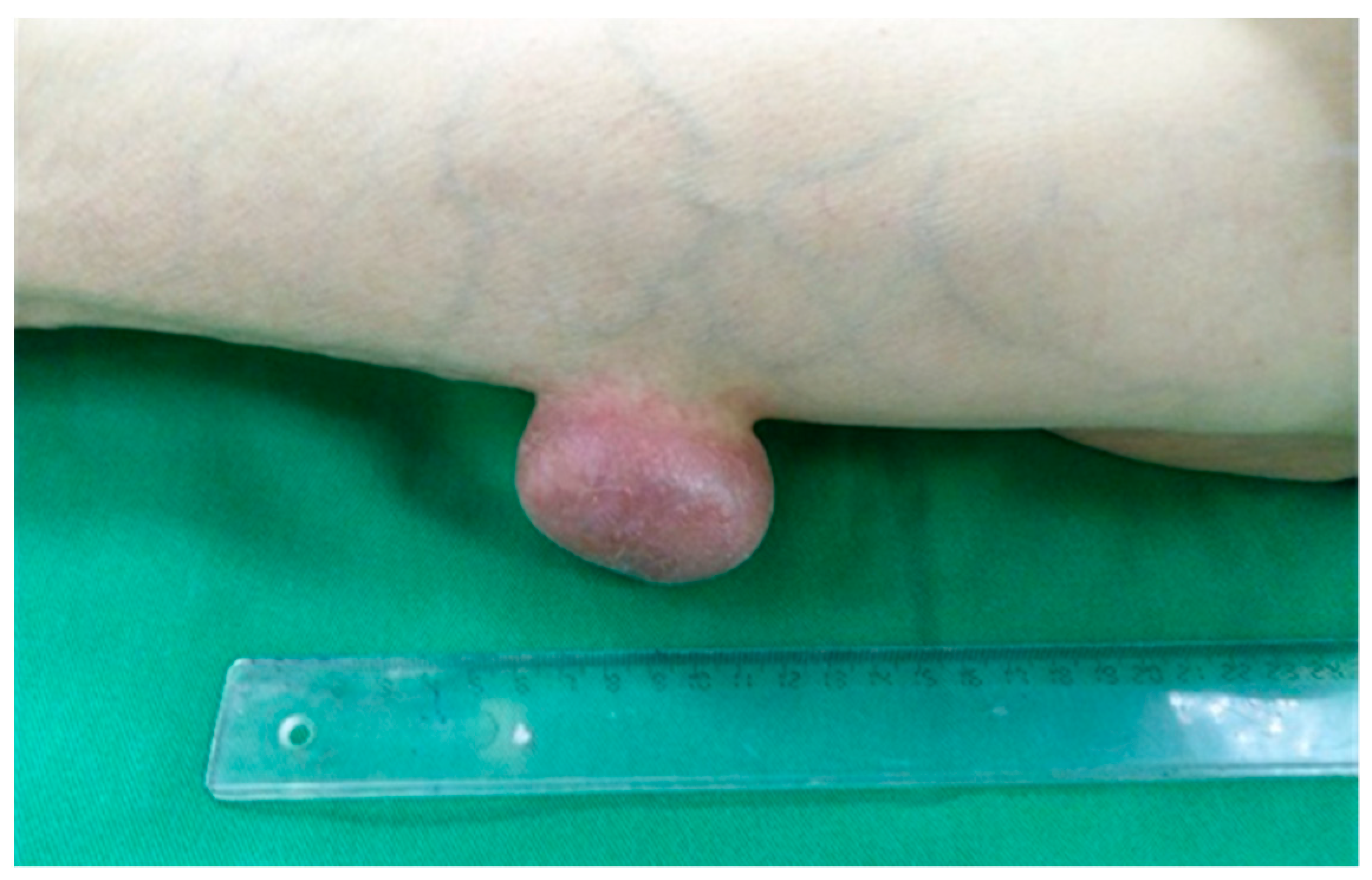 Clinpract 12 00078 g001