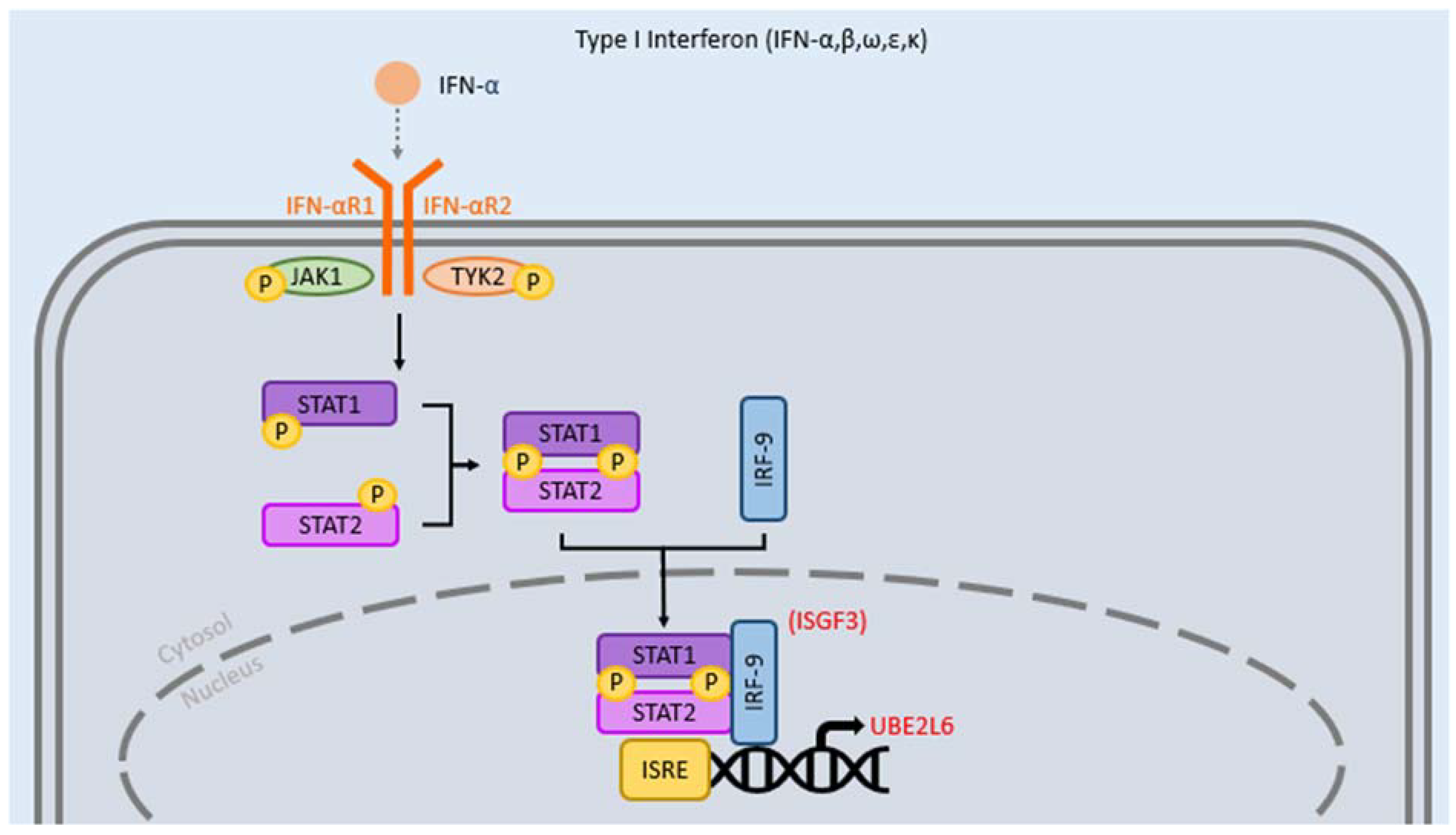 Clinpract 12 00082 g001