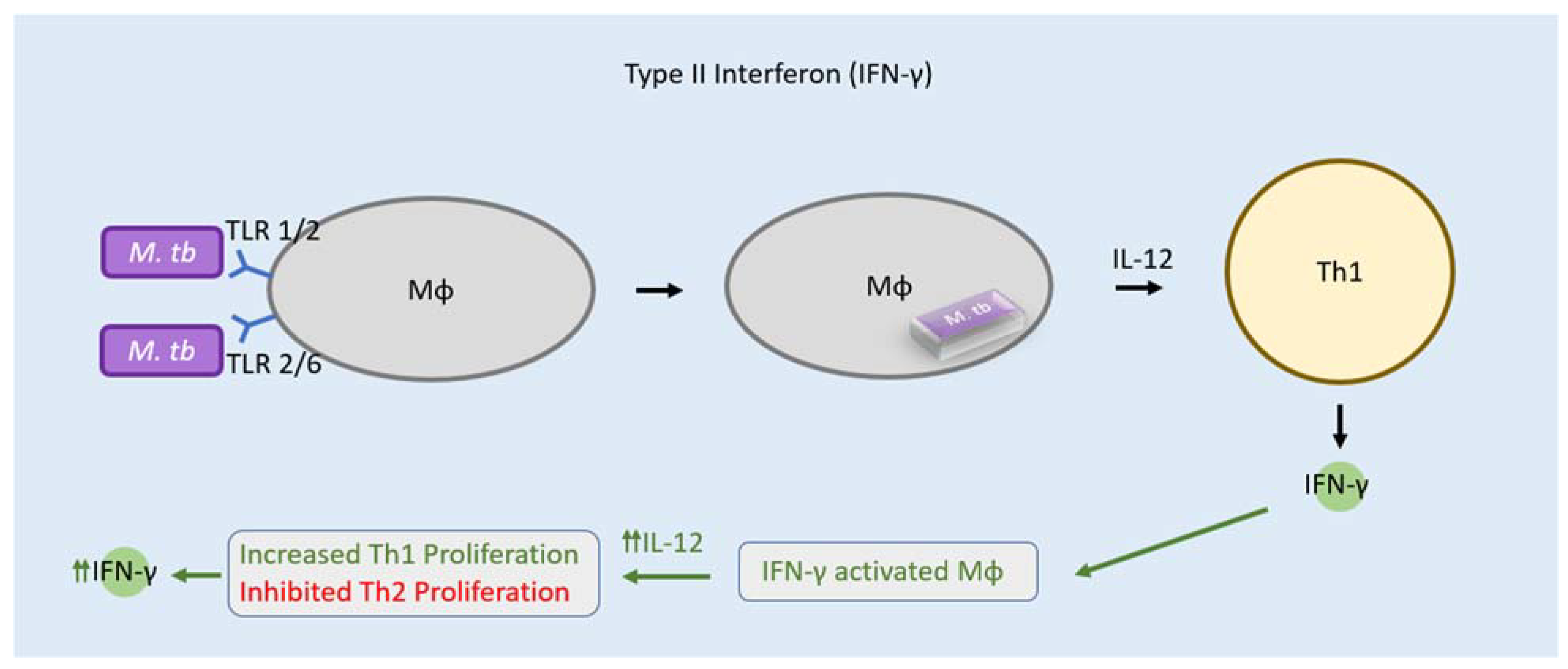 Clinpract 12 00082 g002