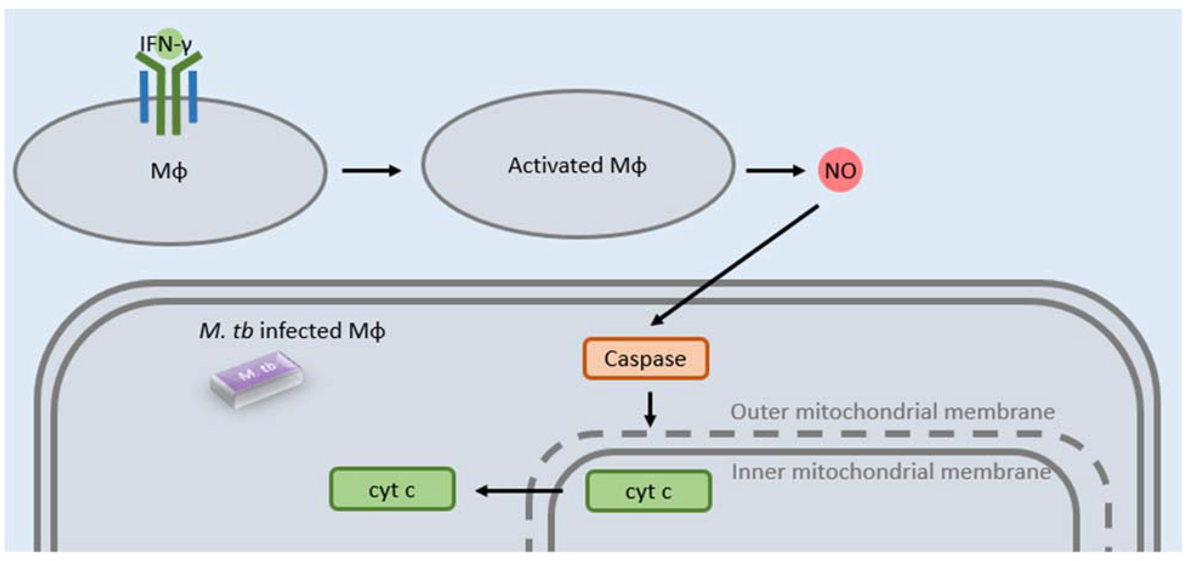 Clinpract 12 00082 g003