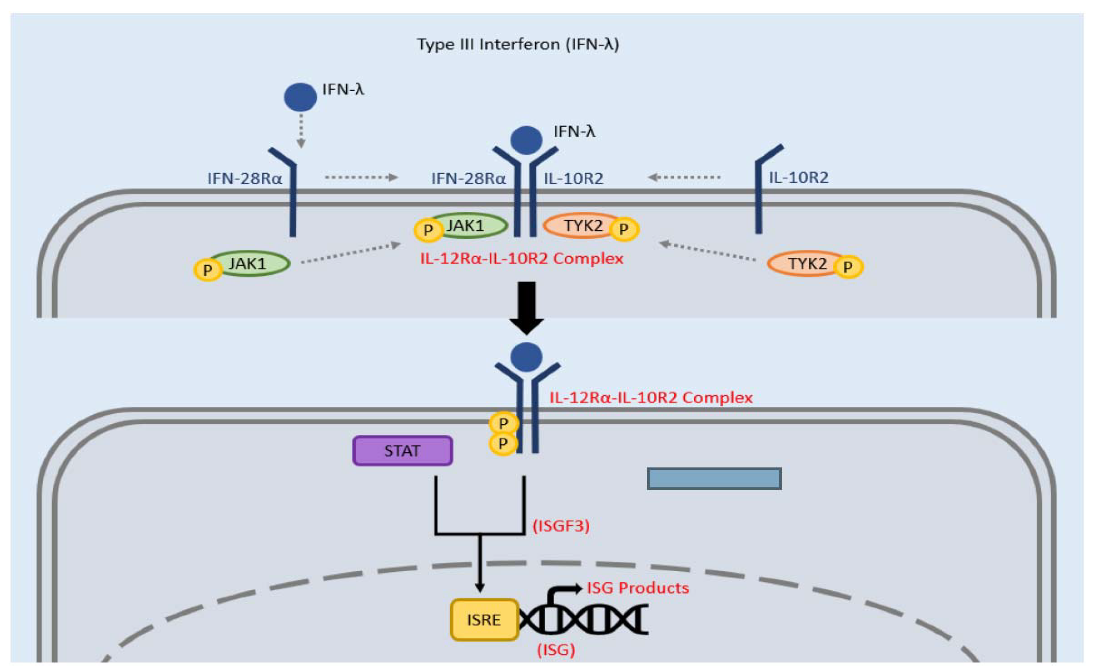 Clinpract 12 00082 g004
