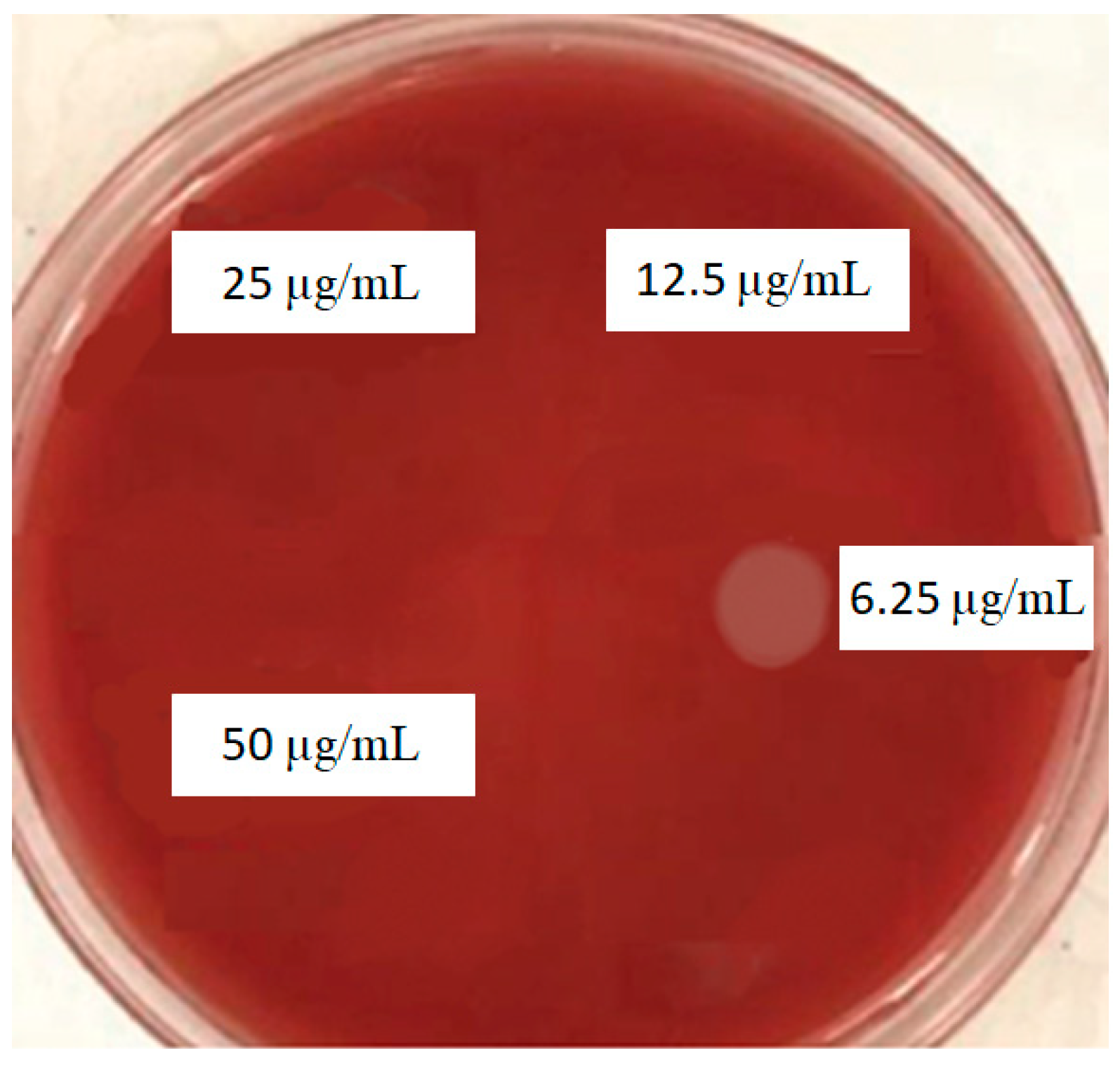 Clinpract 12 00085 g004 Clinpract 12 00085 g004