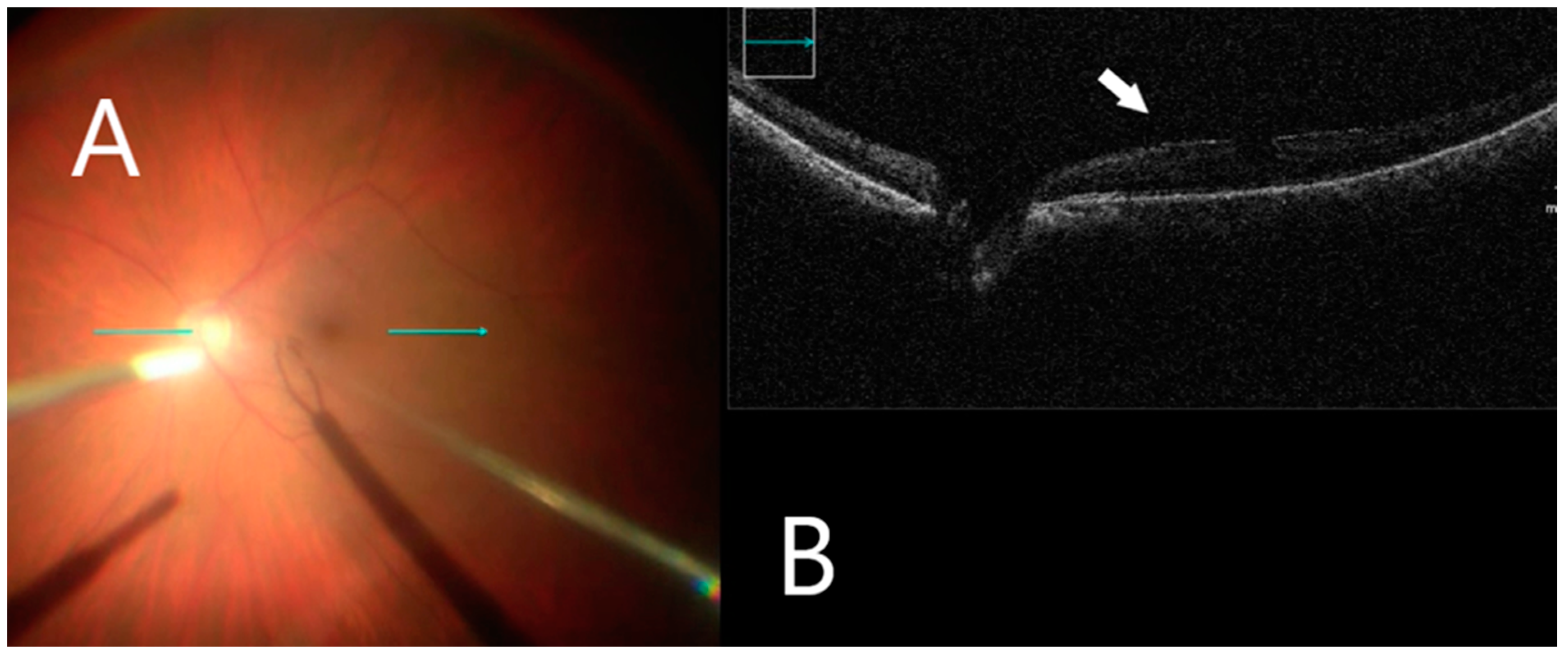 Clinpract 12 00086 g002