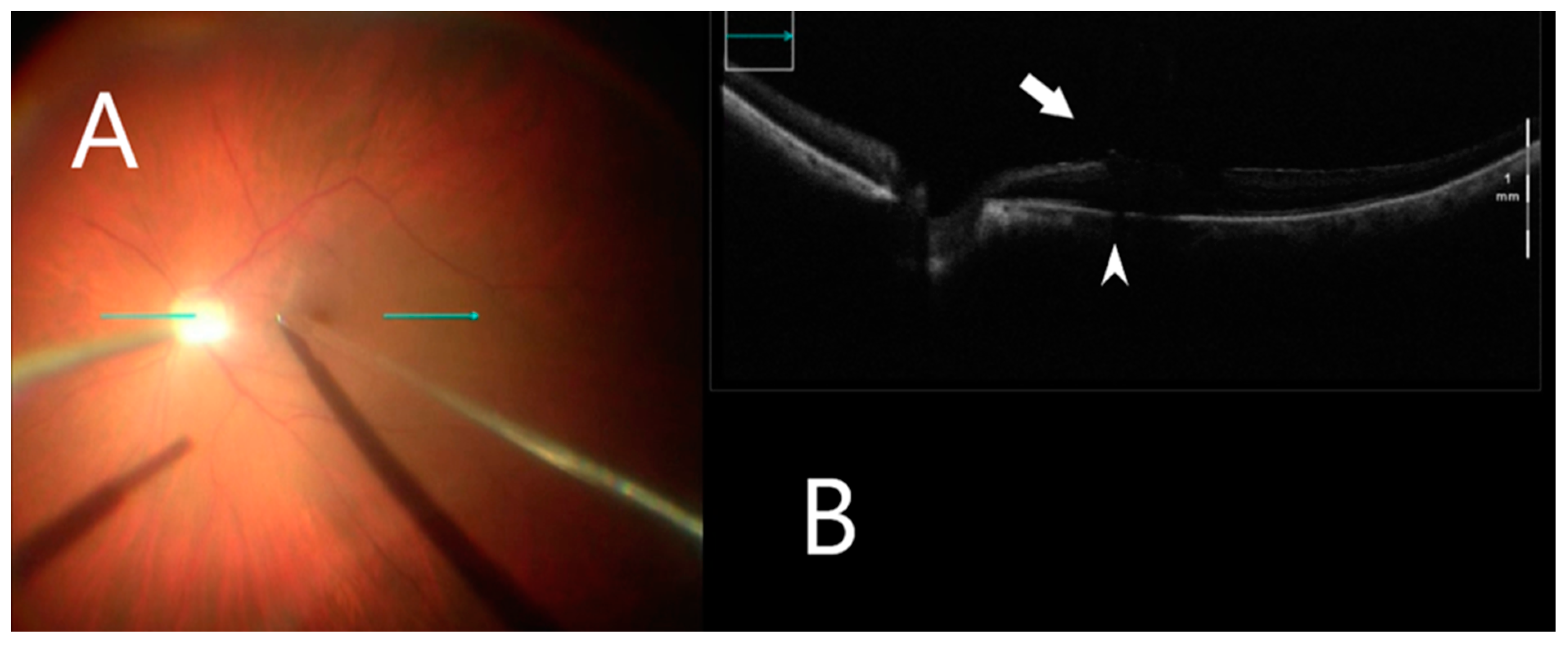 Clinpract 12 00086 g003