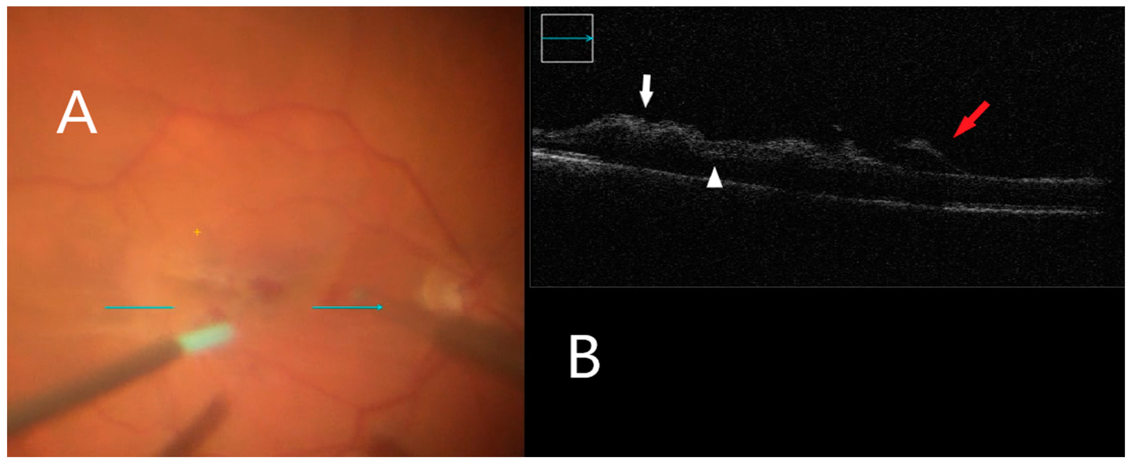 Clinpract 12 00086 g004