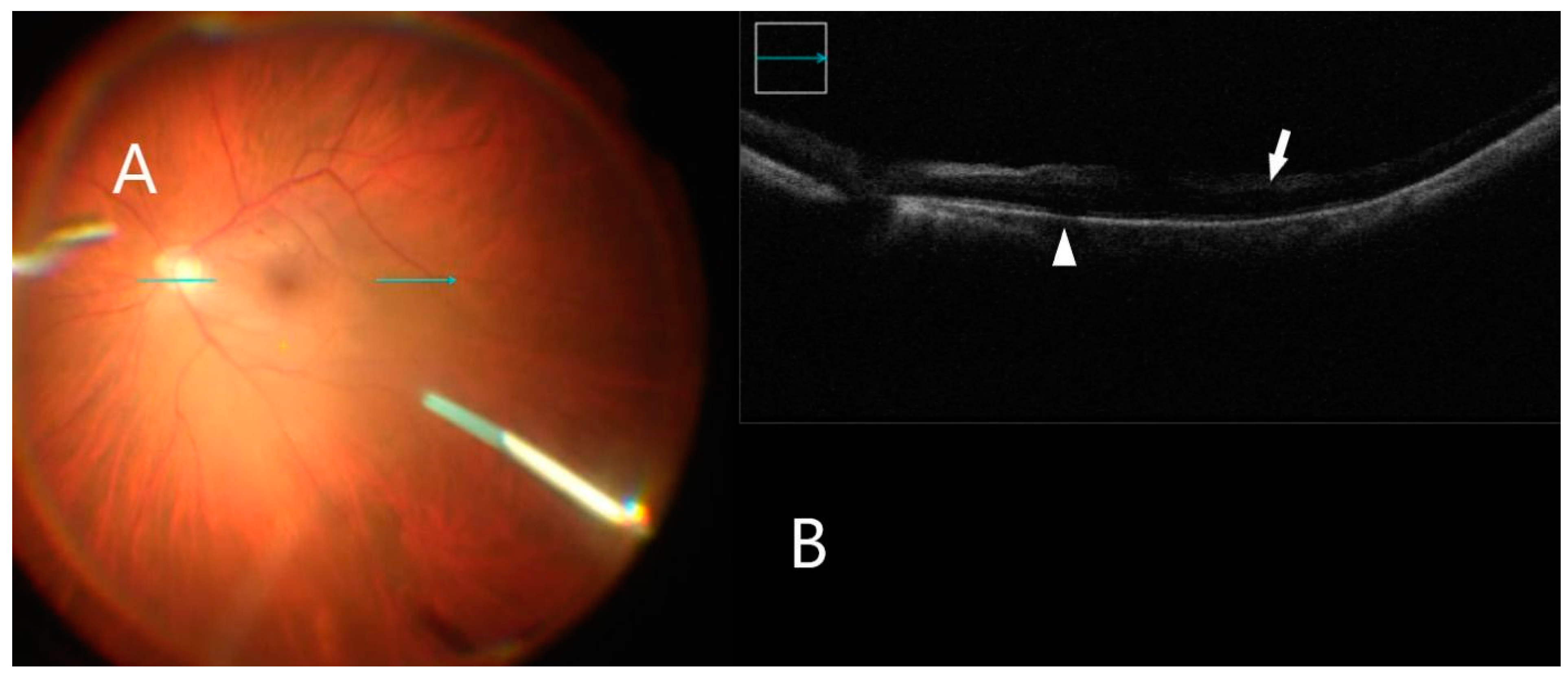 Clinpract 12 00086 g005