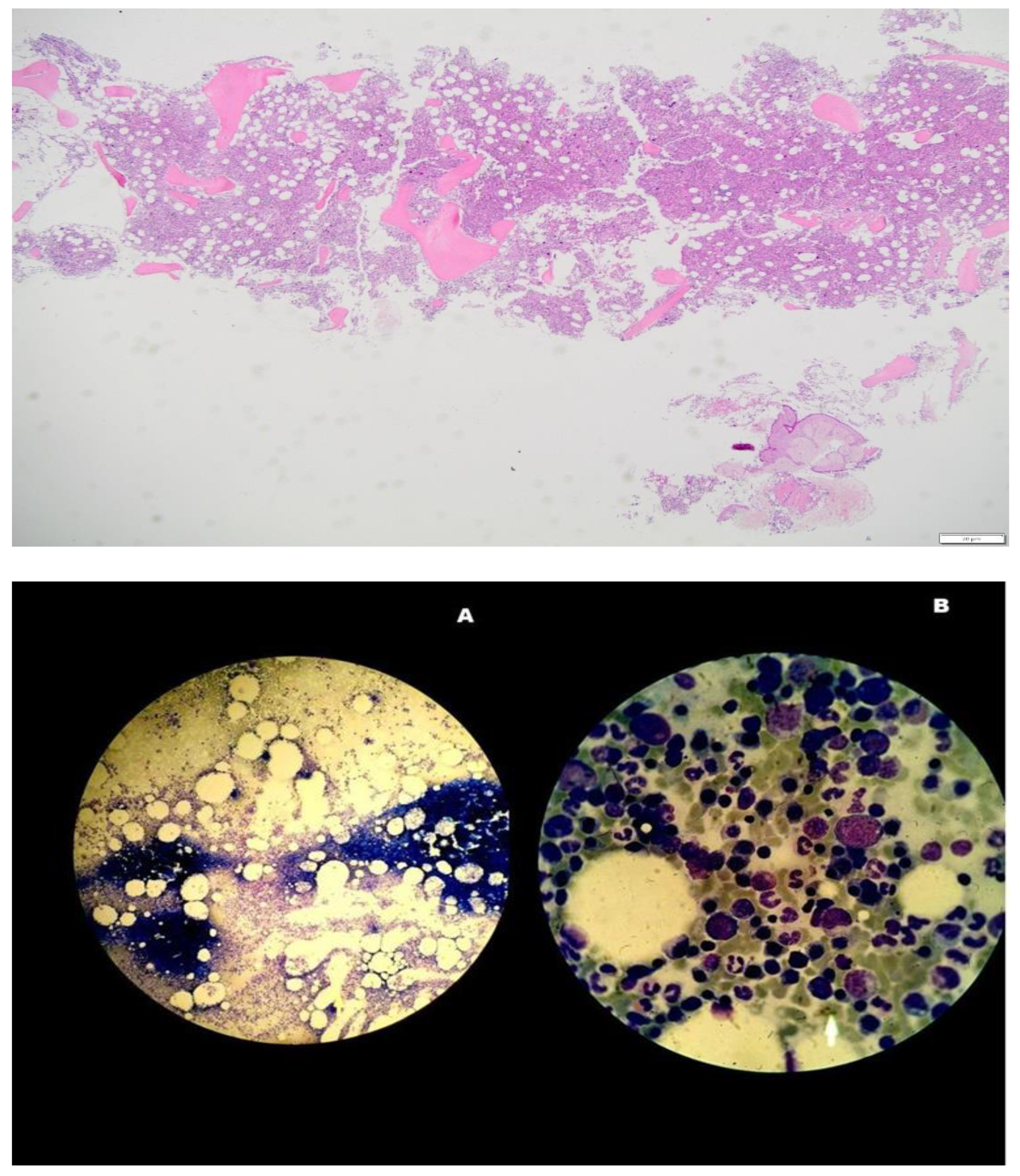 Clinpract 12 00109 g001b