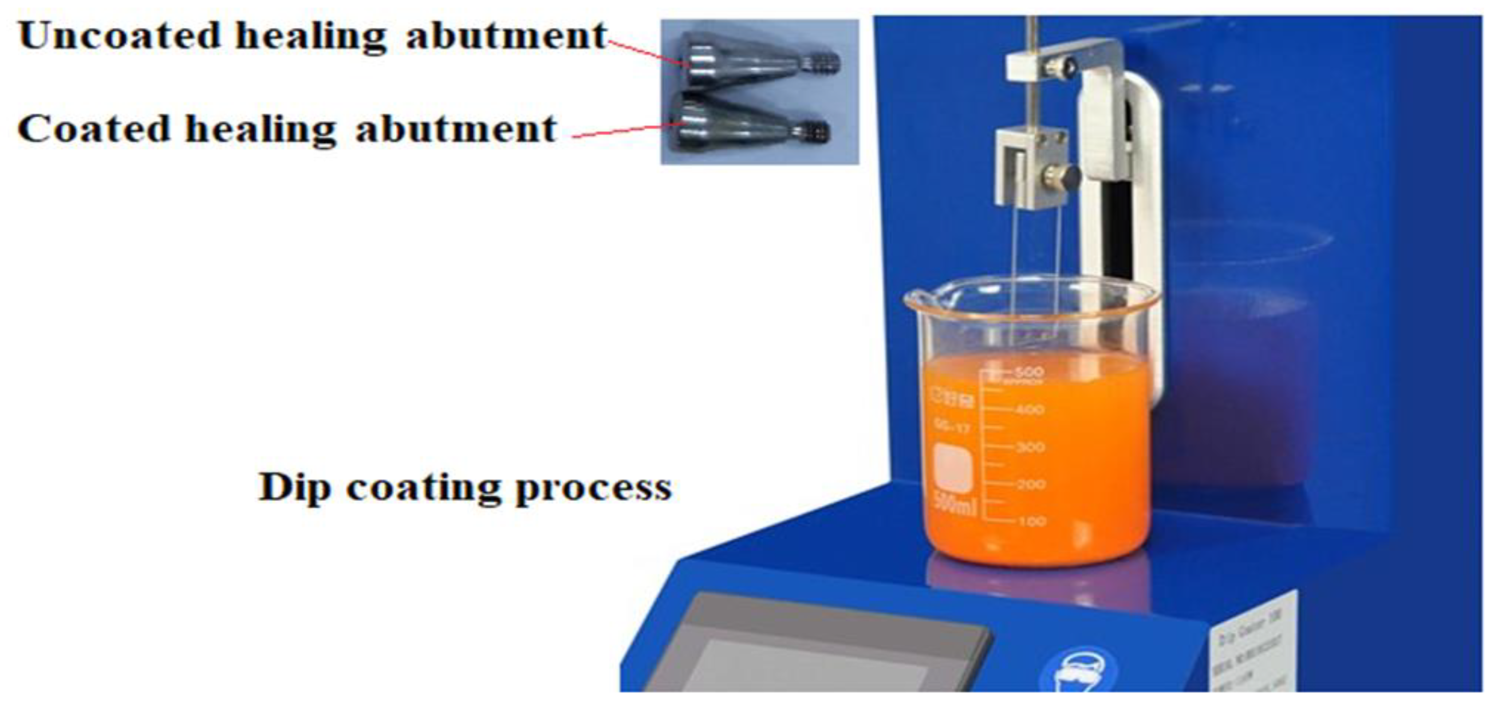 Clinpract 13 00009 g001