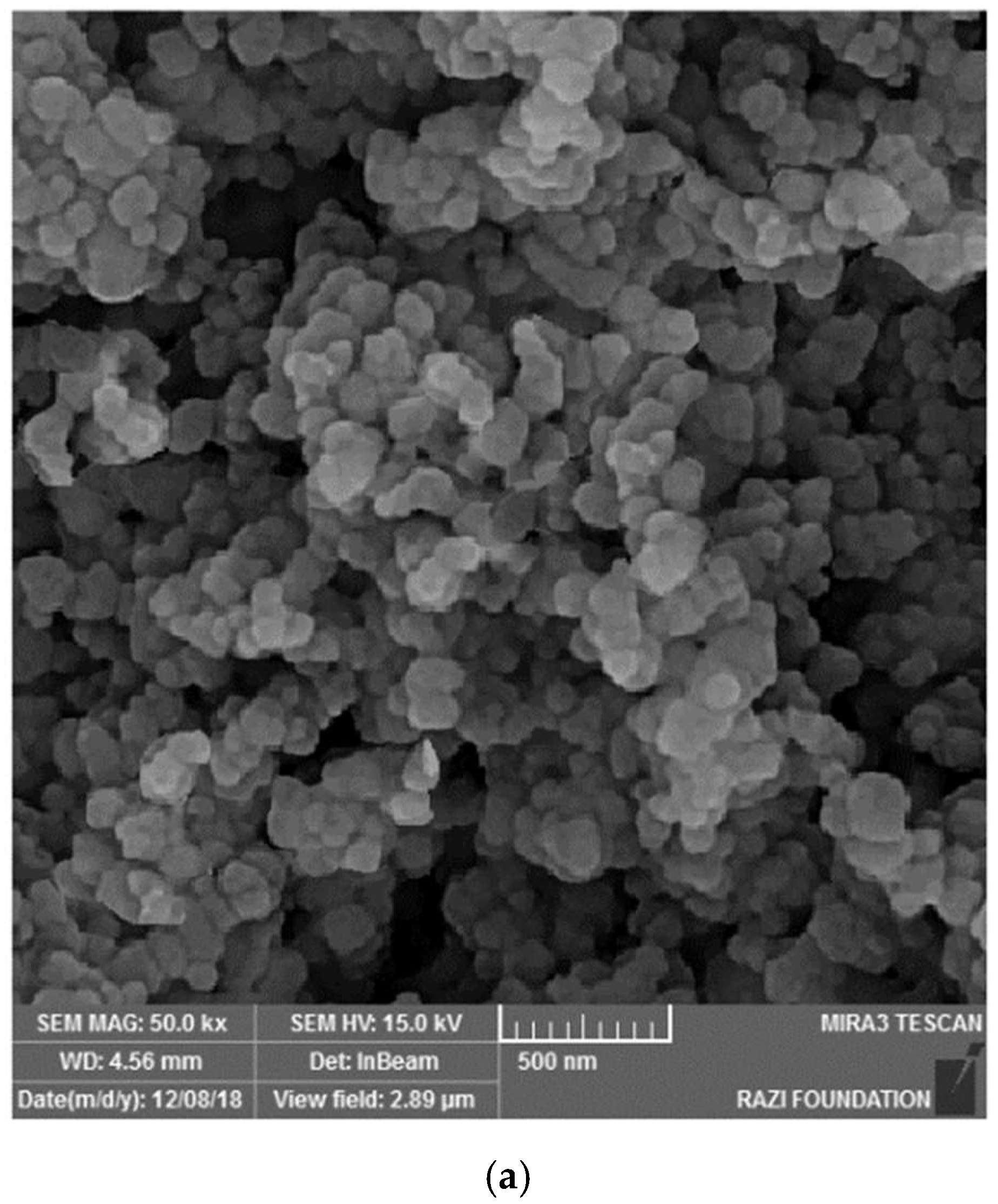 Clinpract 13 00009 g003a