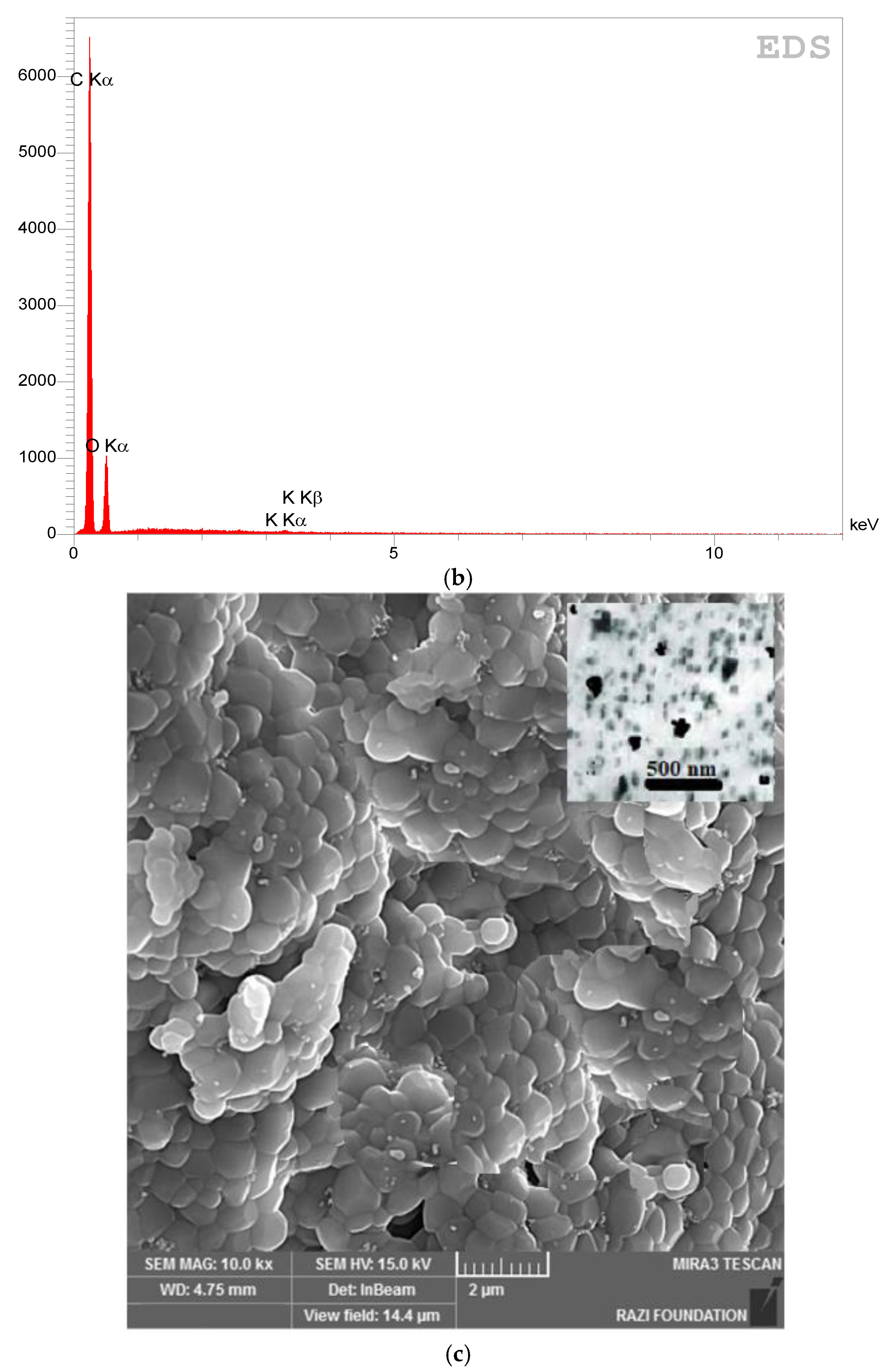 Clinpract 13 00009 g003b