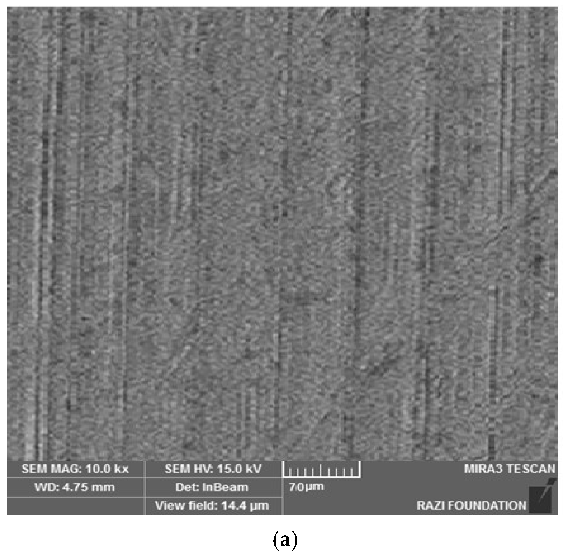 Clinpract 13 00009 g004a