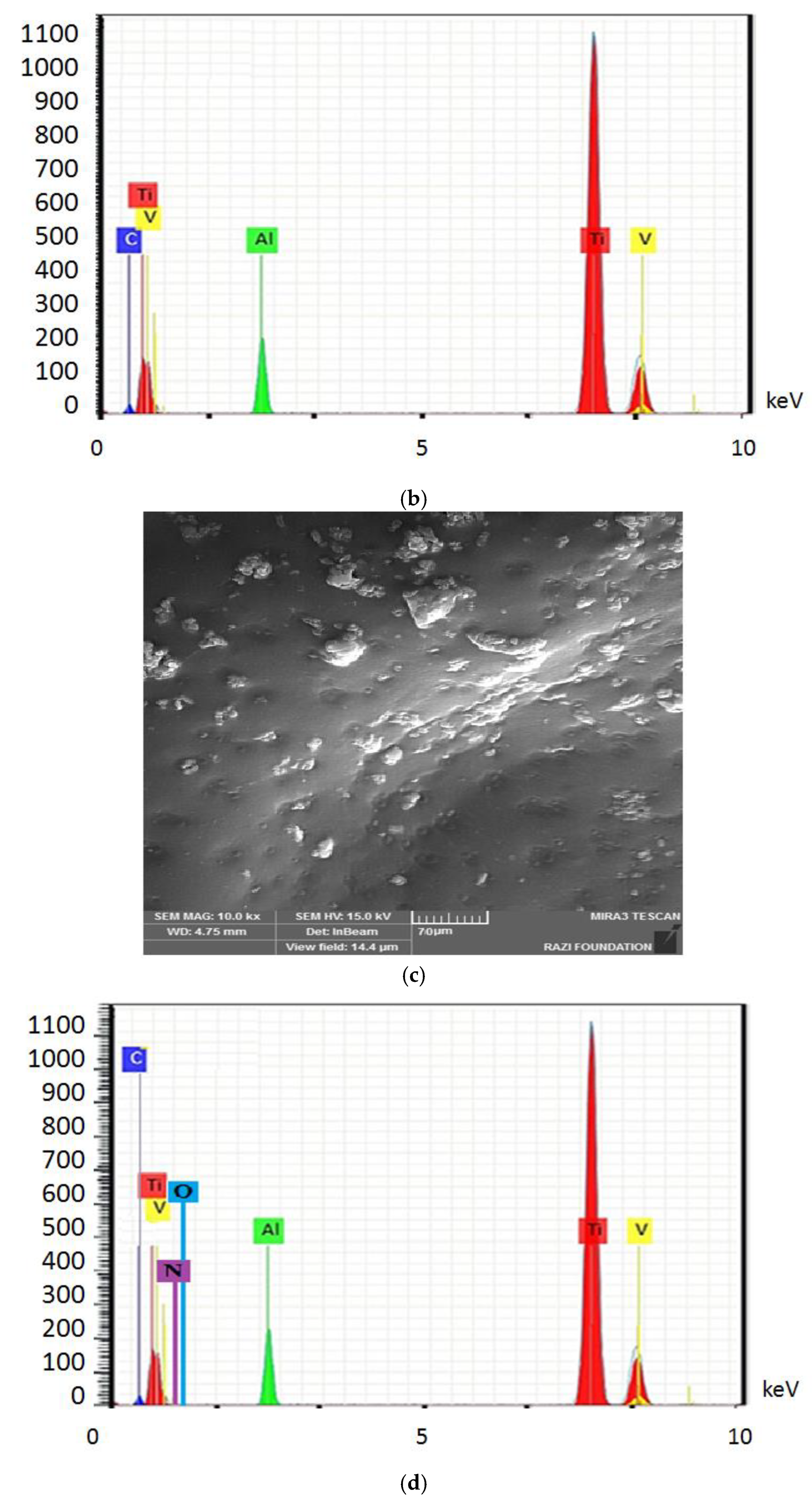 Clinpract 13 00009 g004b