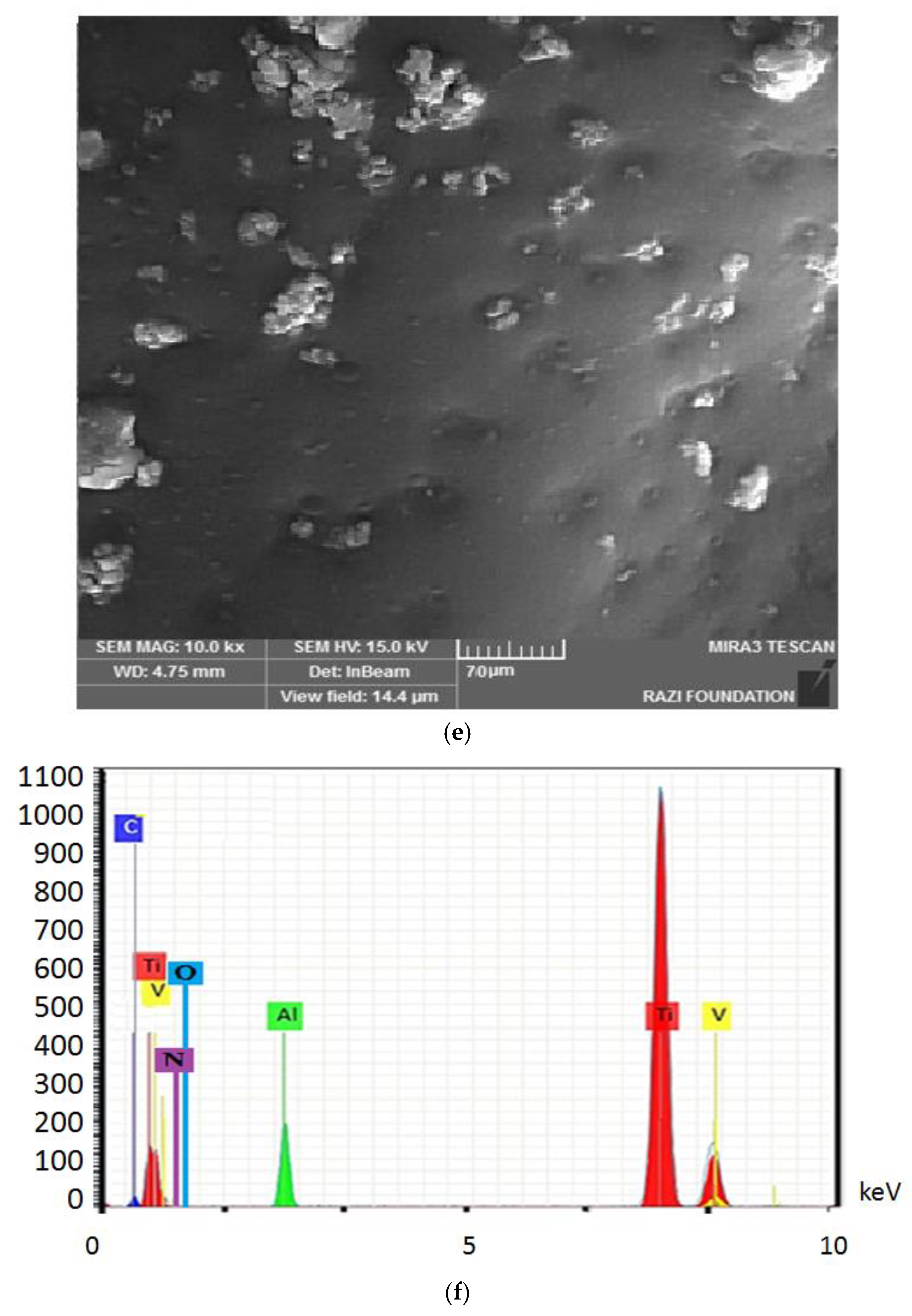 Clinpract 13 00009 g004c