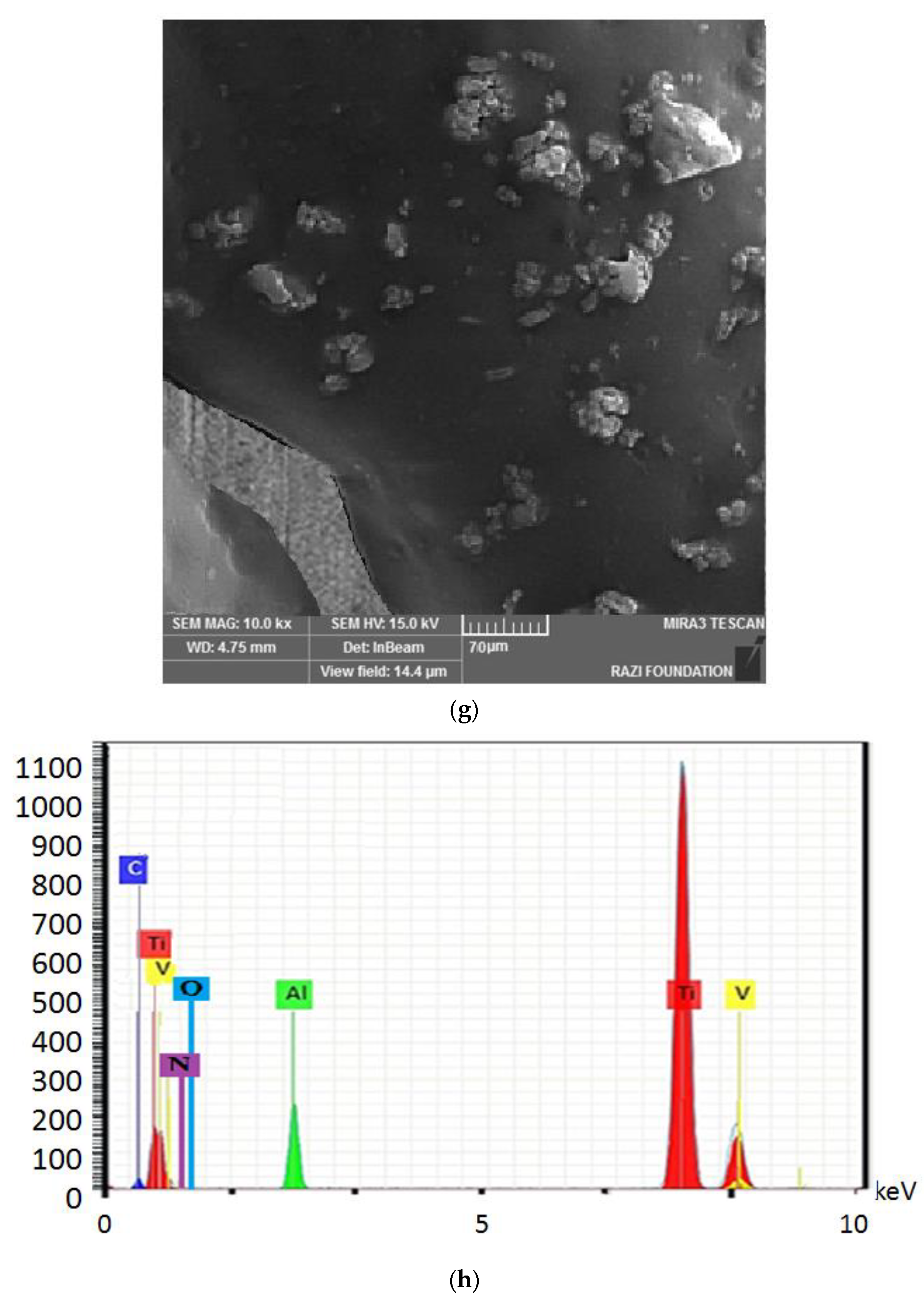 Clinpract 13 00009 g004d