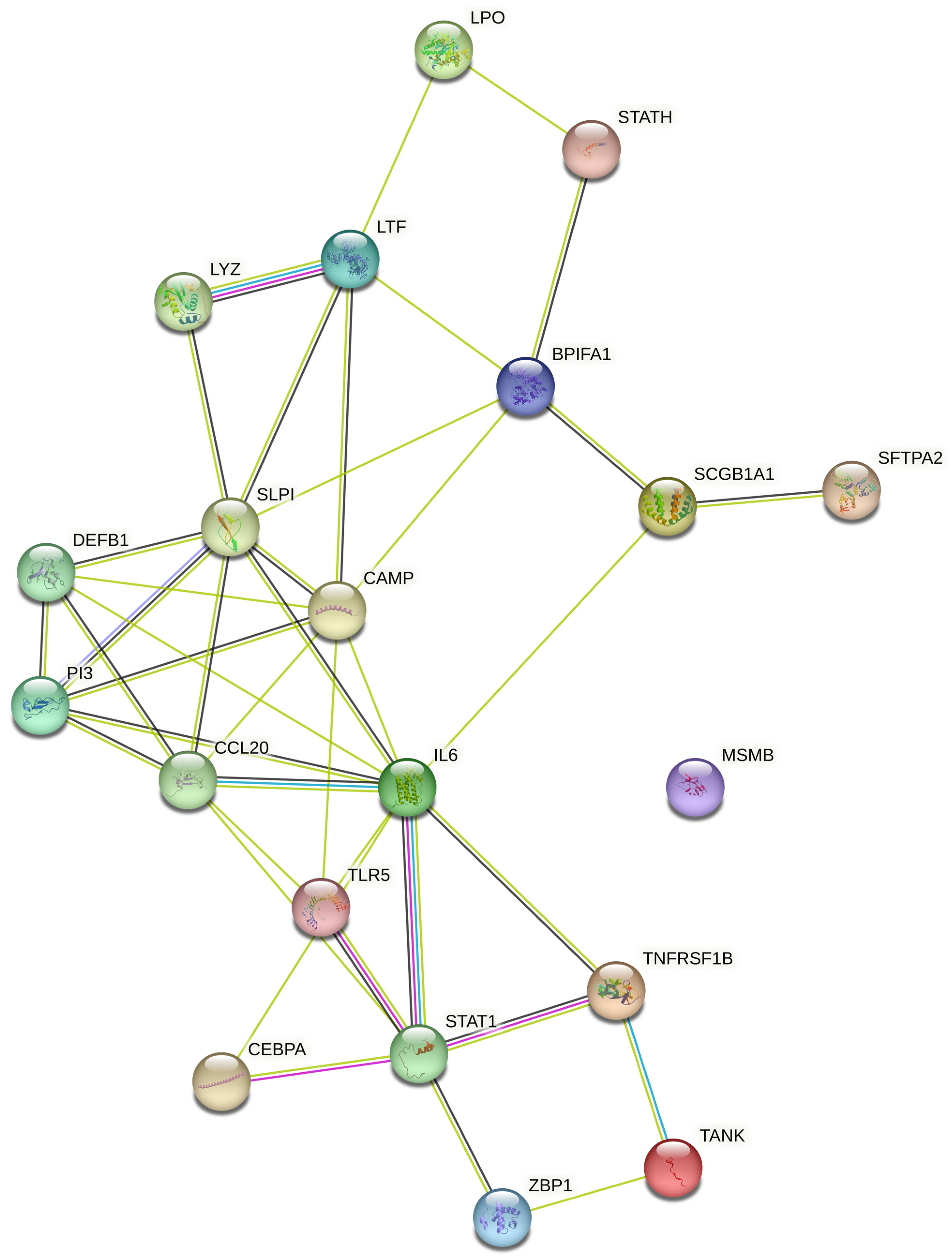 Clinpract 13 00012 g004