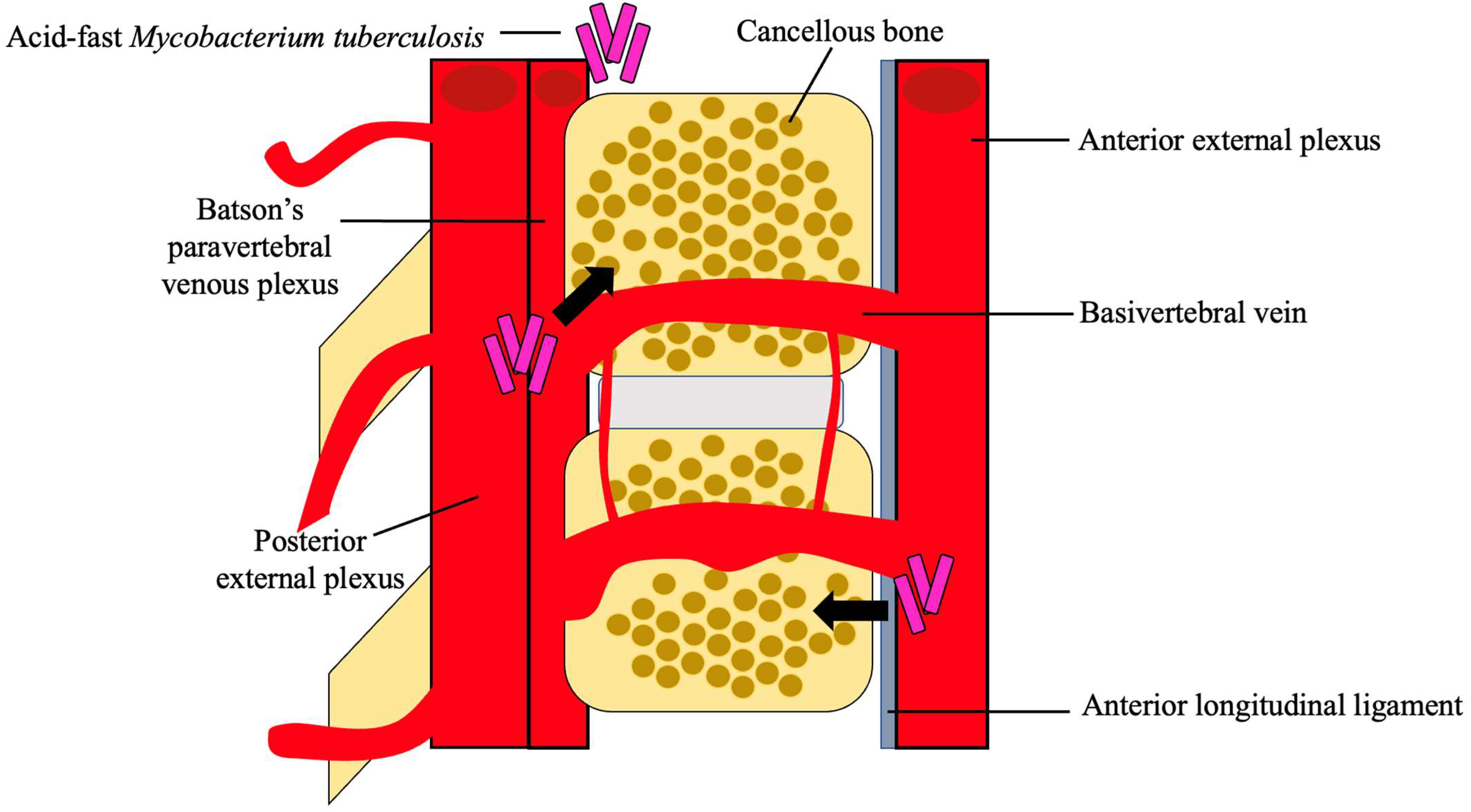 Clinpract 13 00014 g002