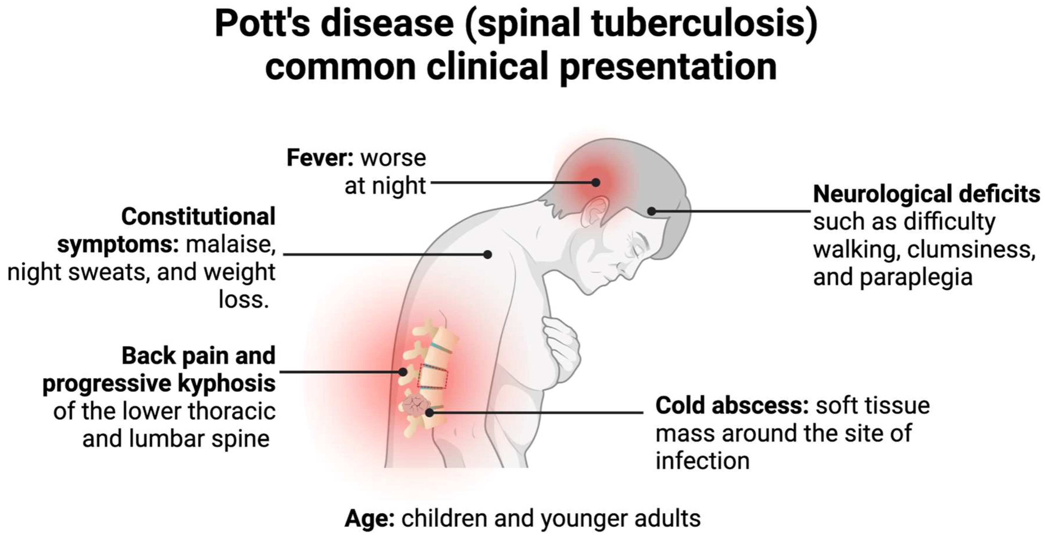 Clinpract 13 00014 g003
