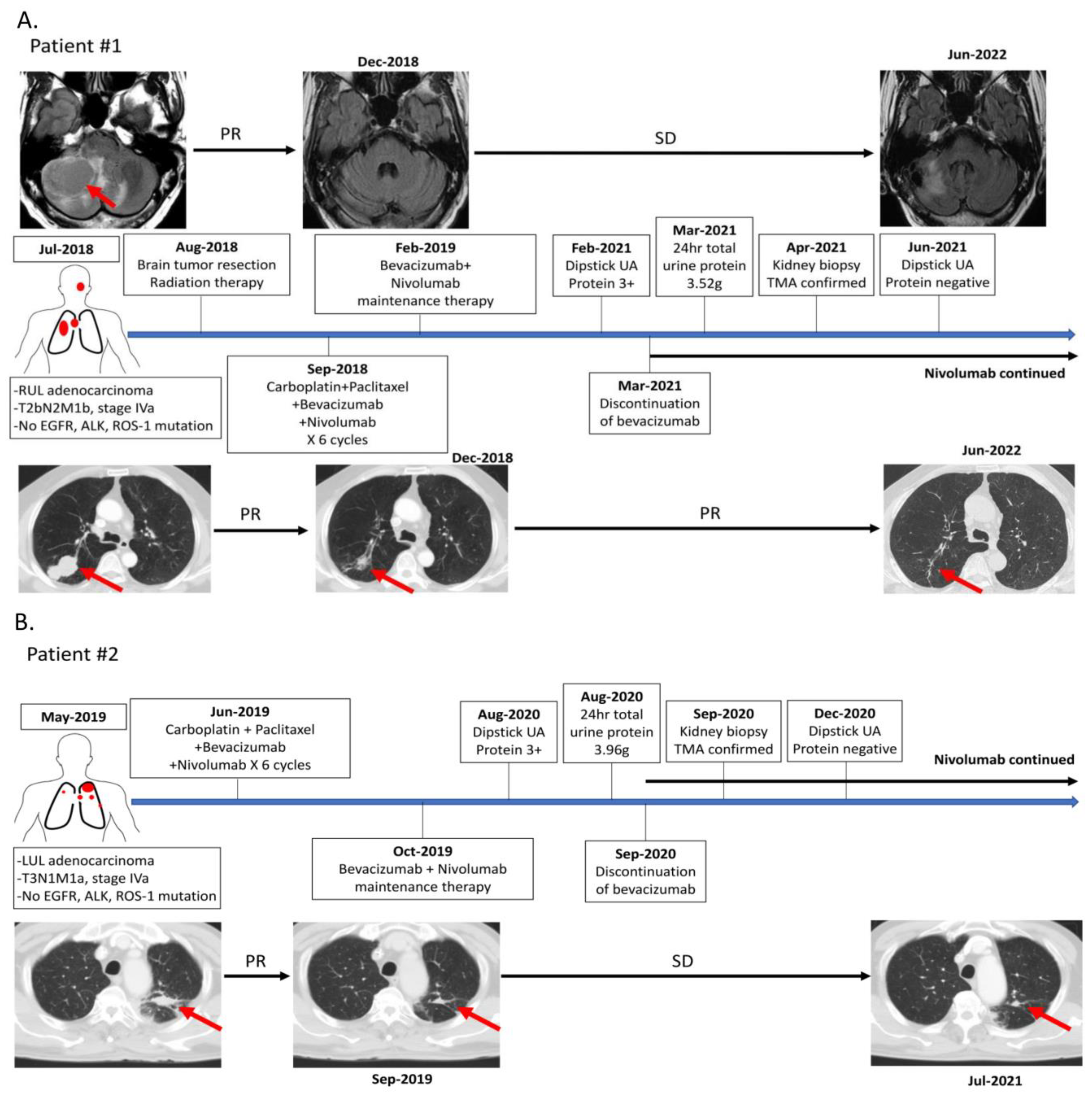 Clinpract 13 00018 g001