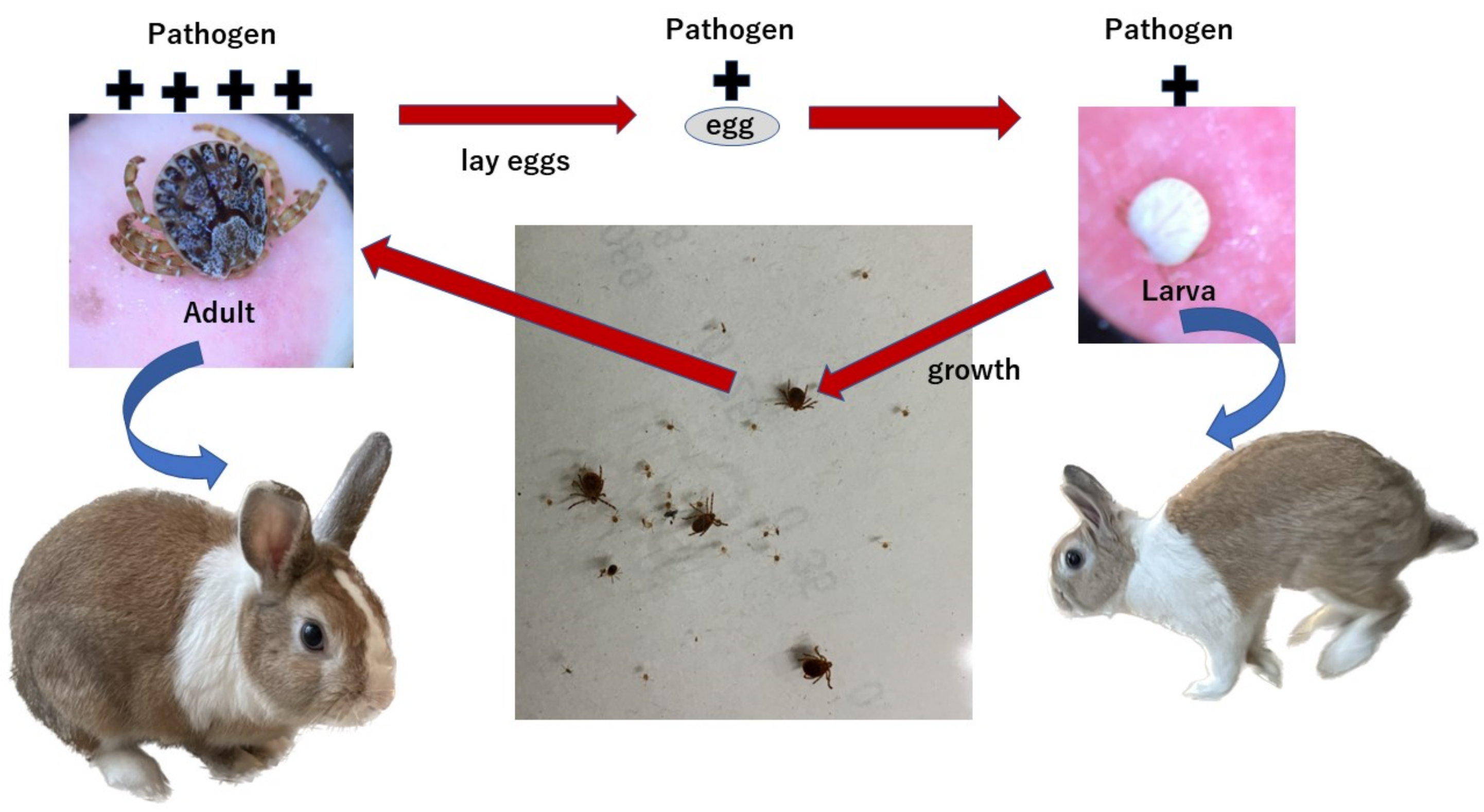 Clinpract 13 00022 g002