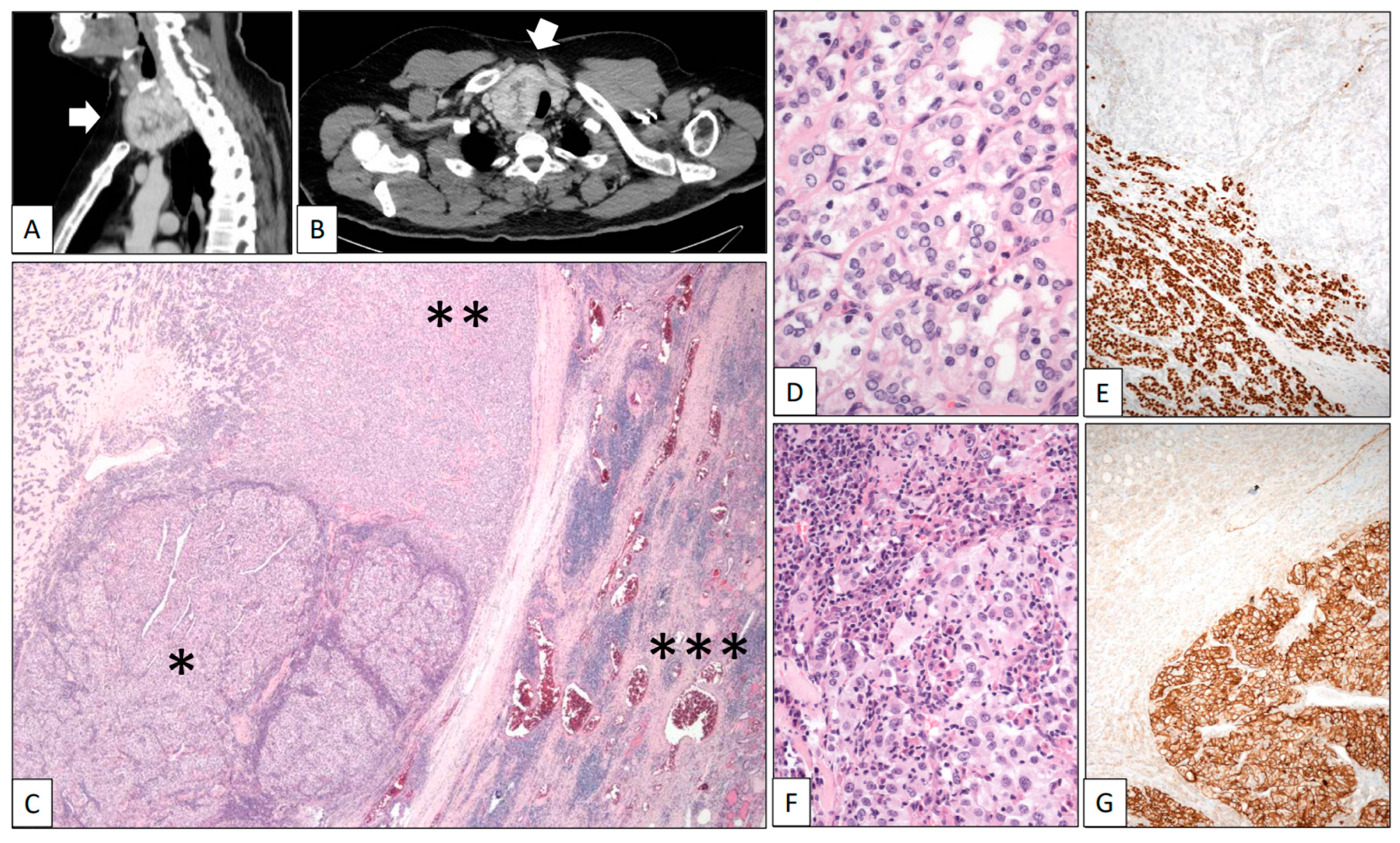 Clinpract 13 00026 g003 Clinpract 13 00026 g003