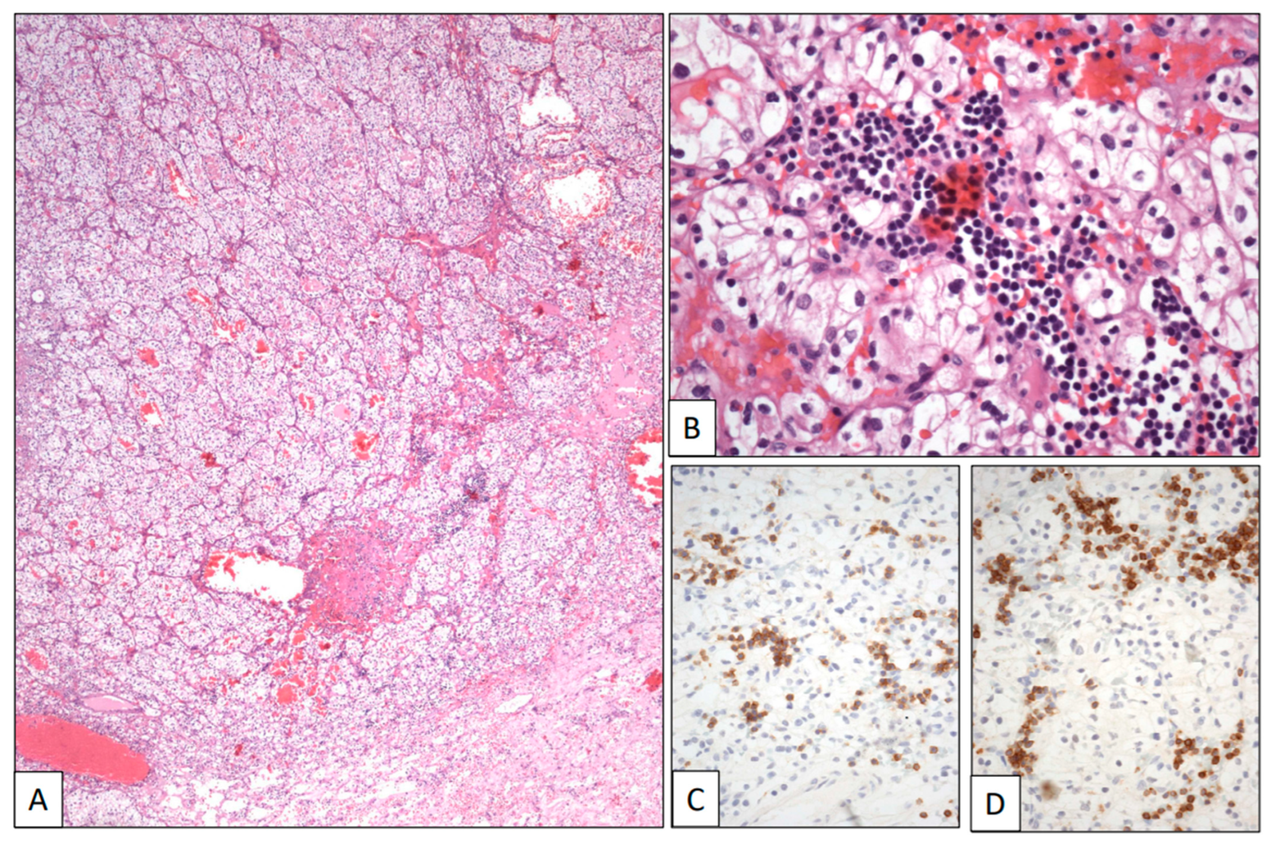 Clinpract 13 00026 g004 Clinpract 13 00026 g004
