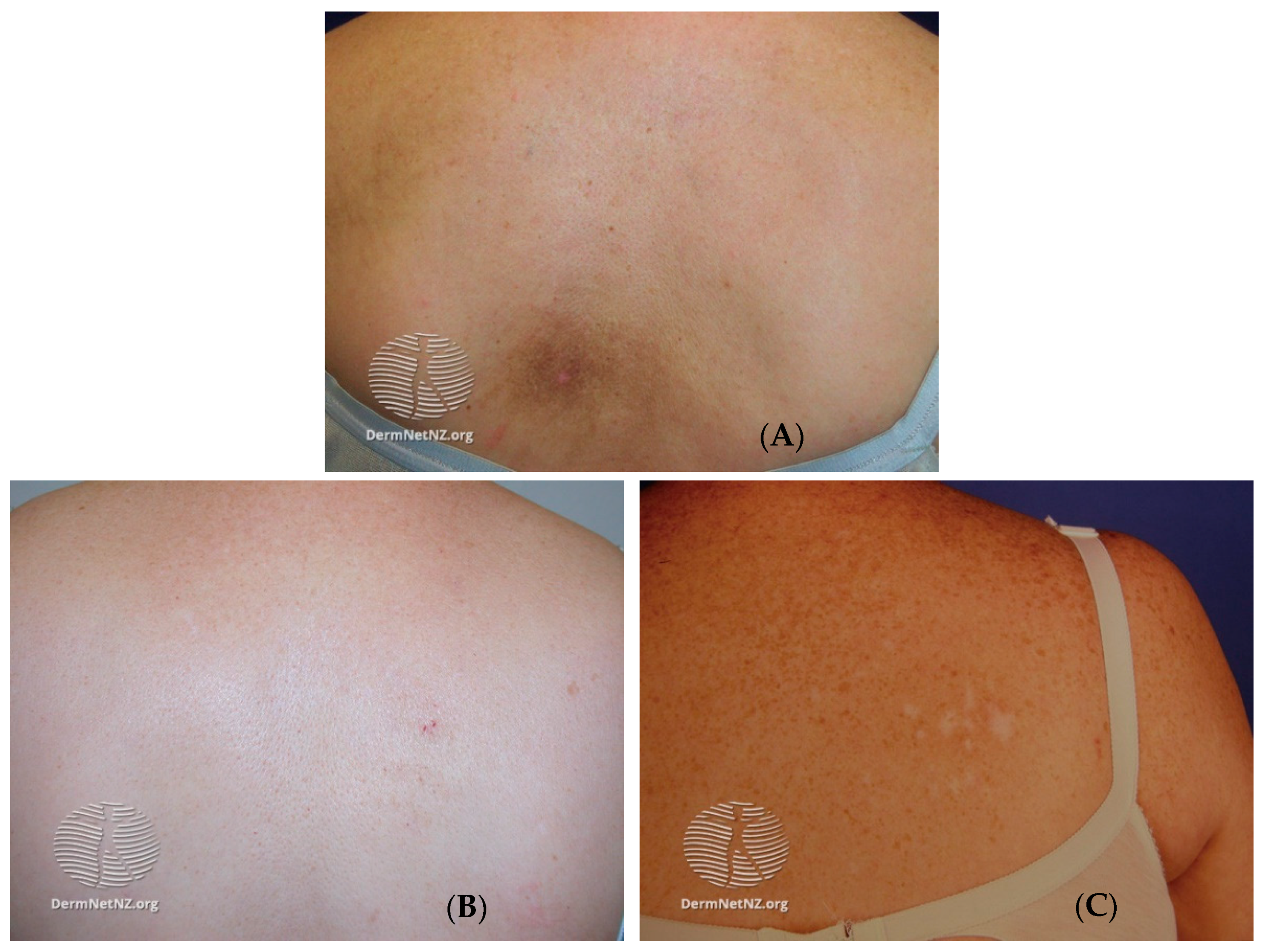 Clinpract 13 00029 g001