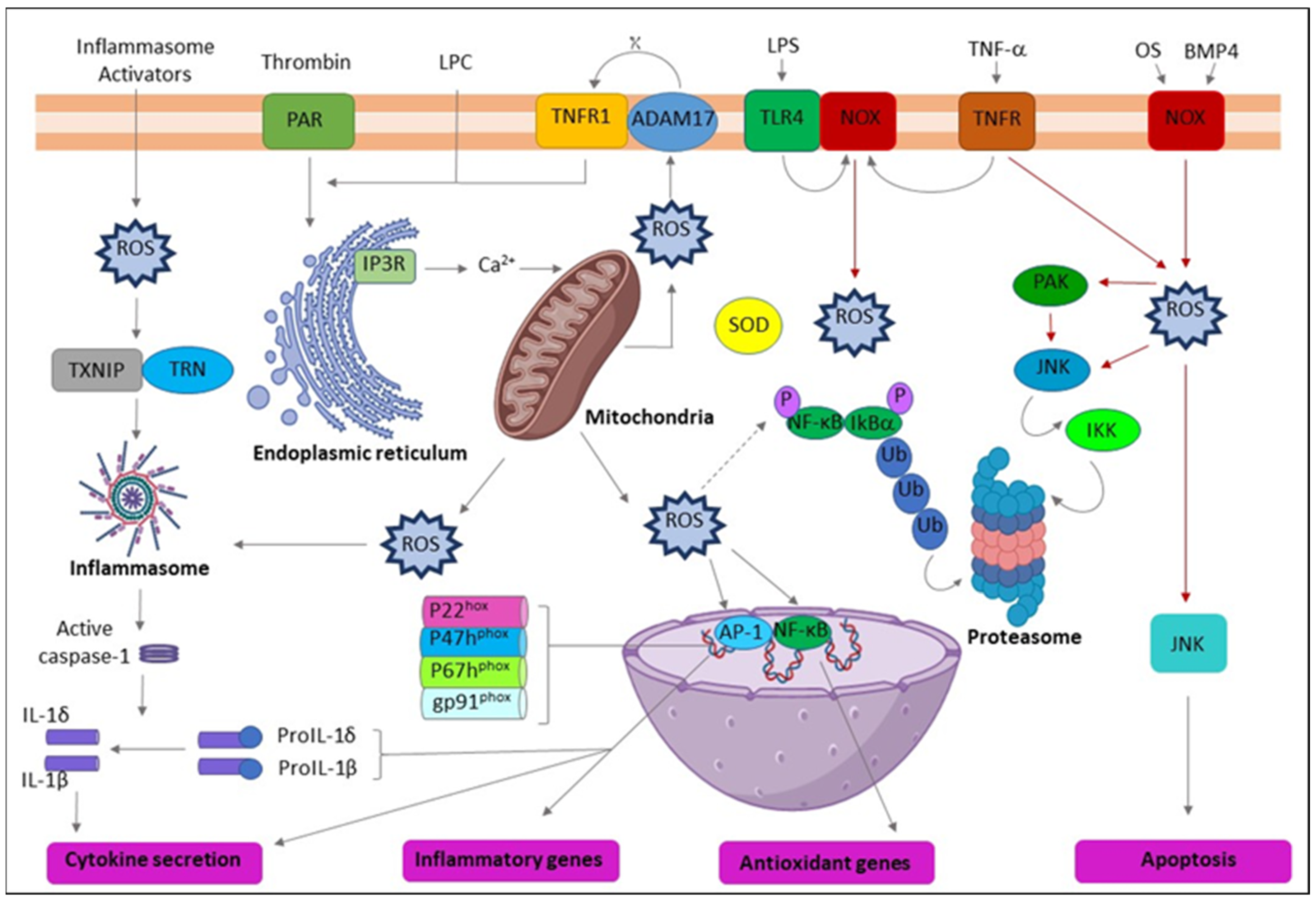 Clinpract 13 00030 g002