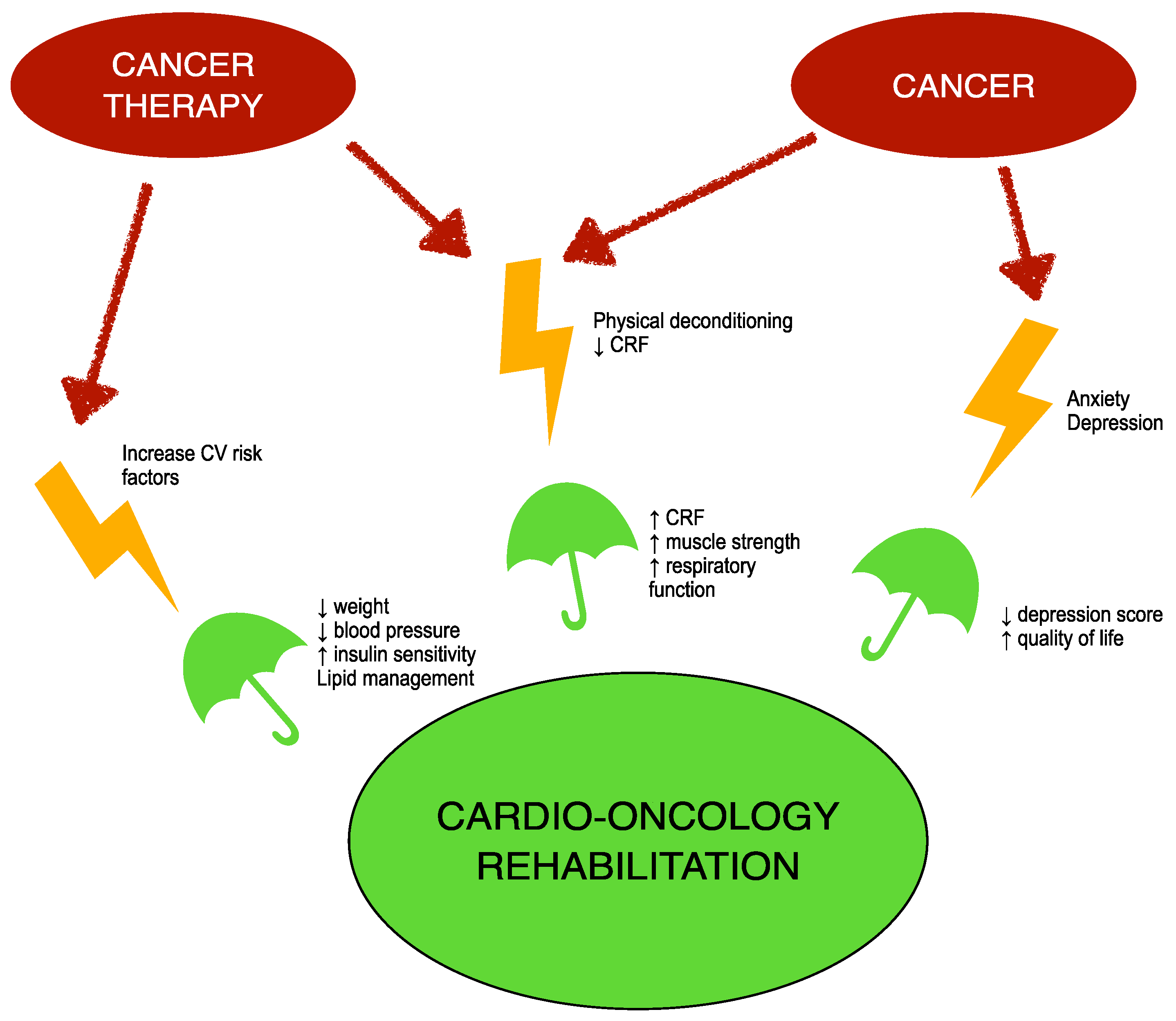 Clinpract 13 00035 g001 Clinpract 13 00035 g001