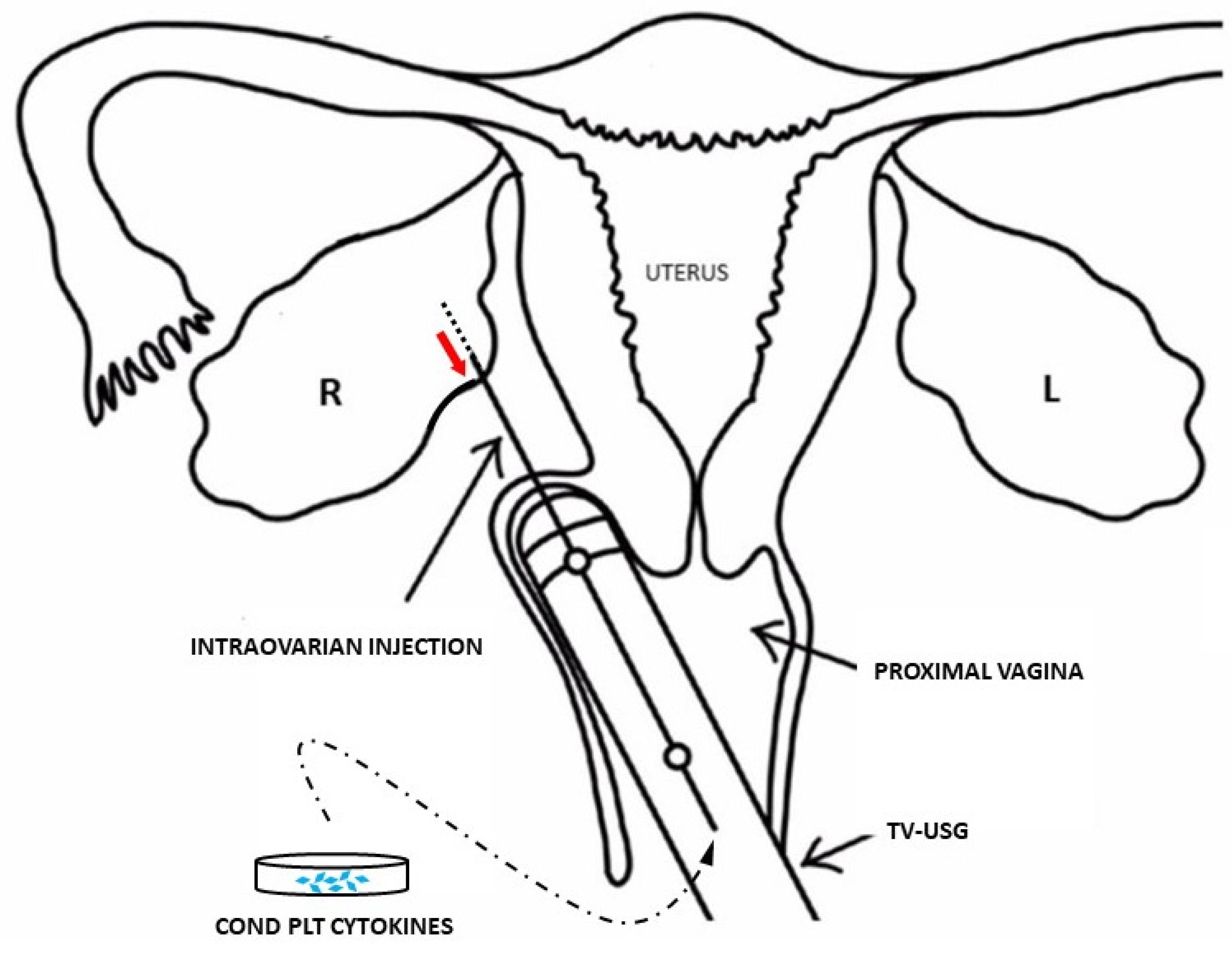 Clinpract 13 00039 g001