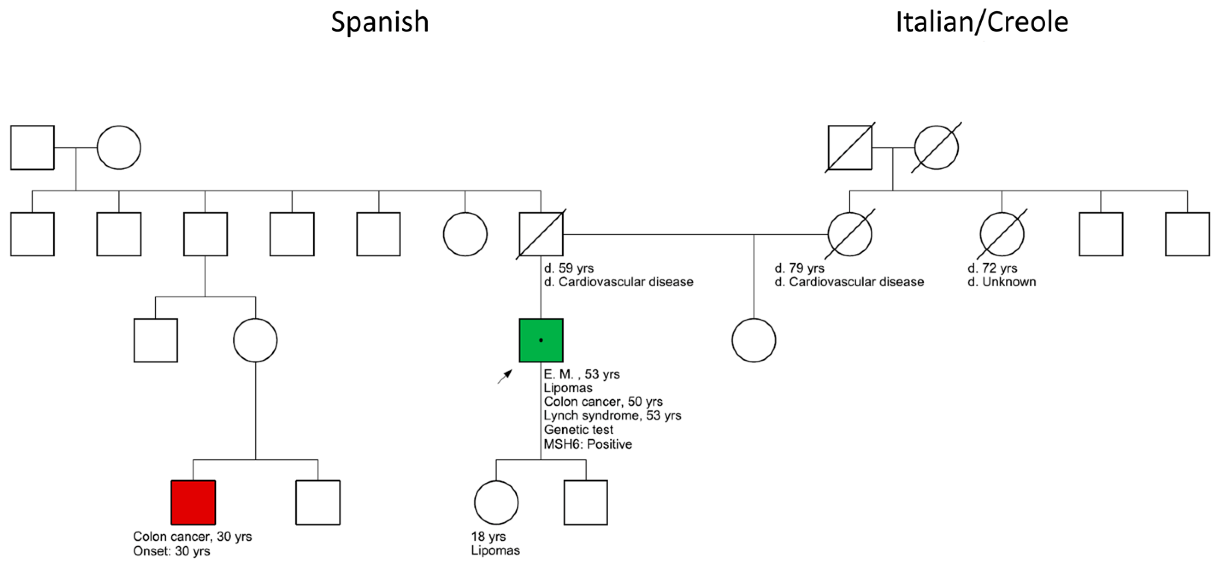 Clinpract 13 00047 g001