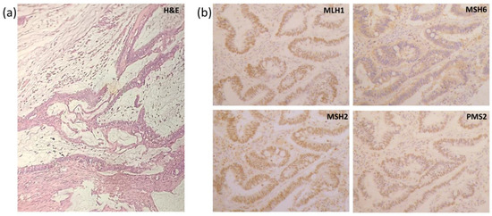 Clinpract 13 00047 g002