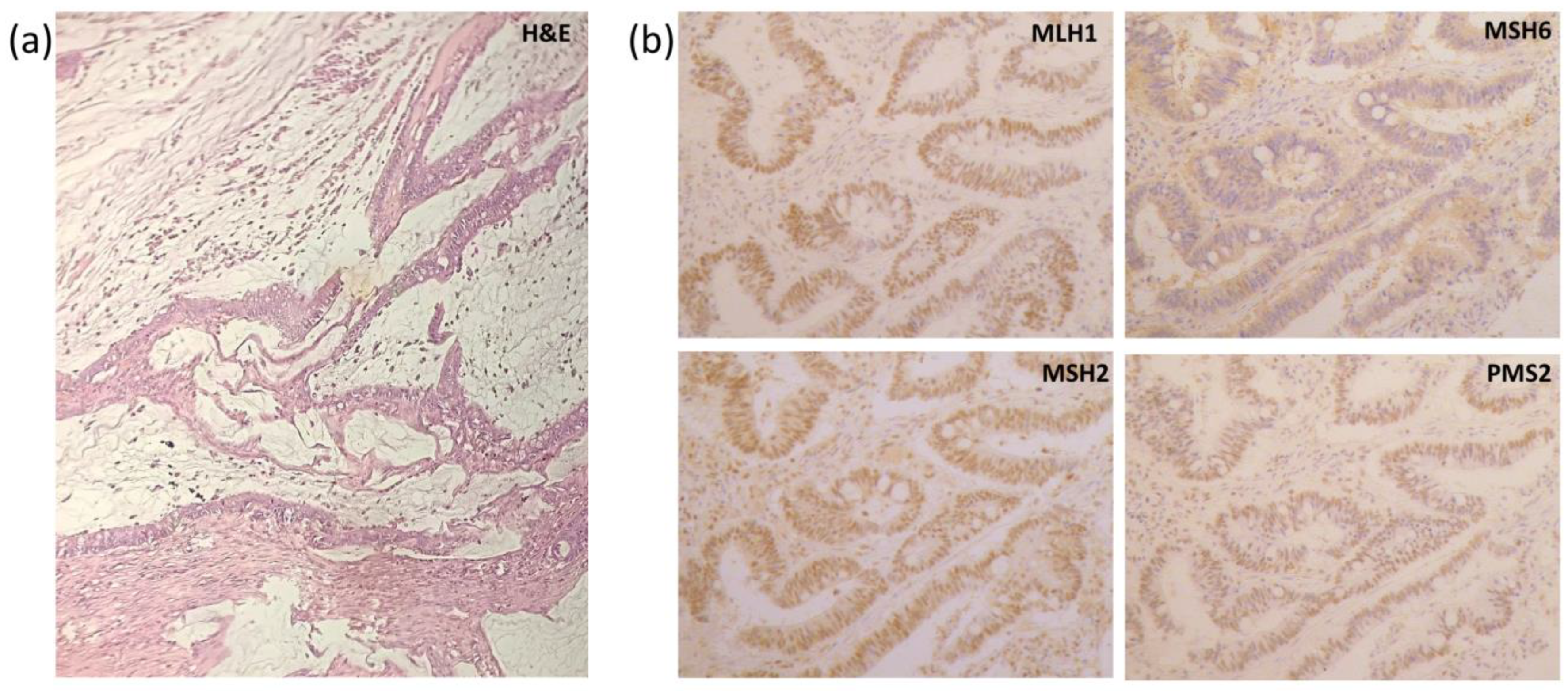 Clinpract 13 00047 g002