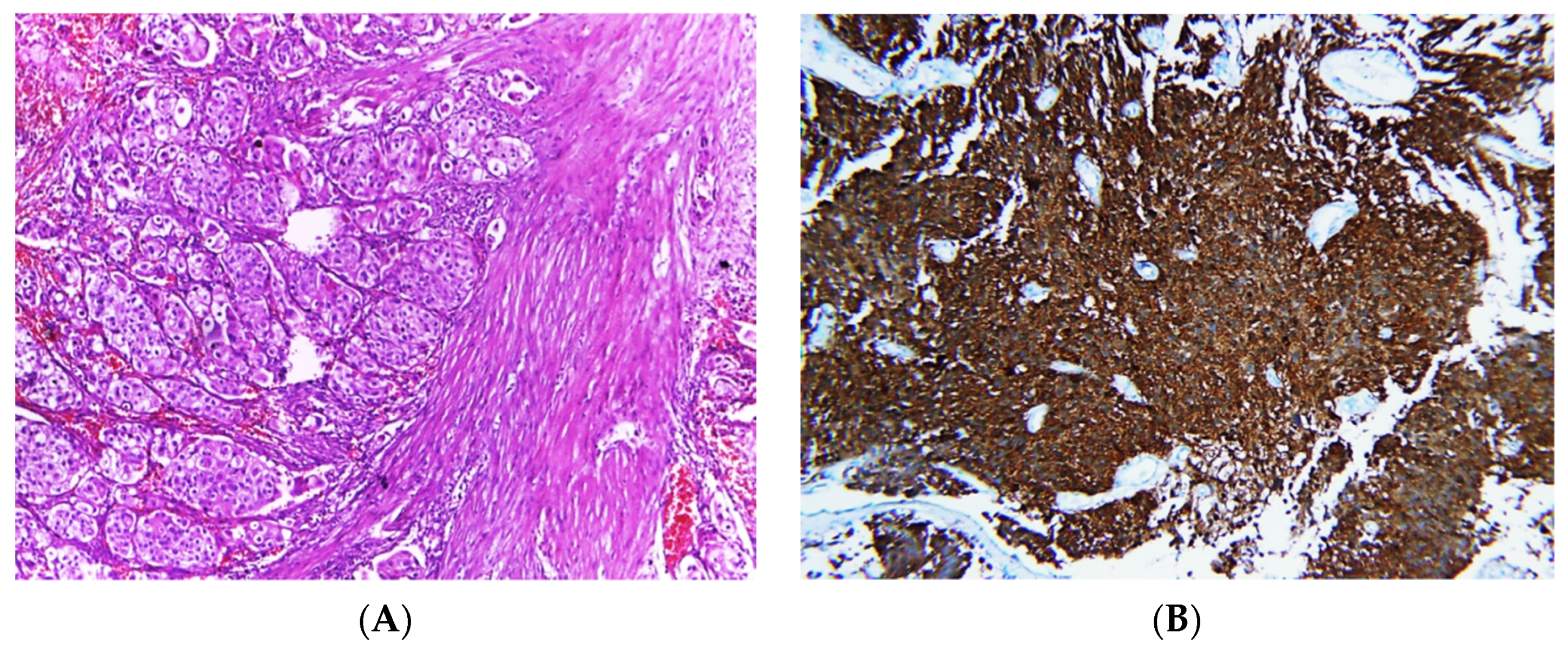 Clinpract 13 00073 g002a