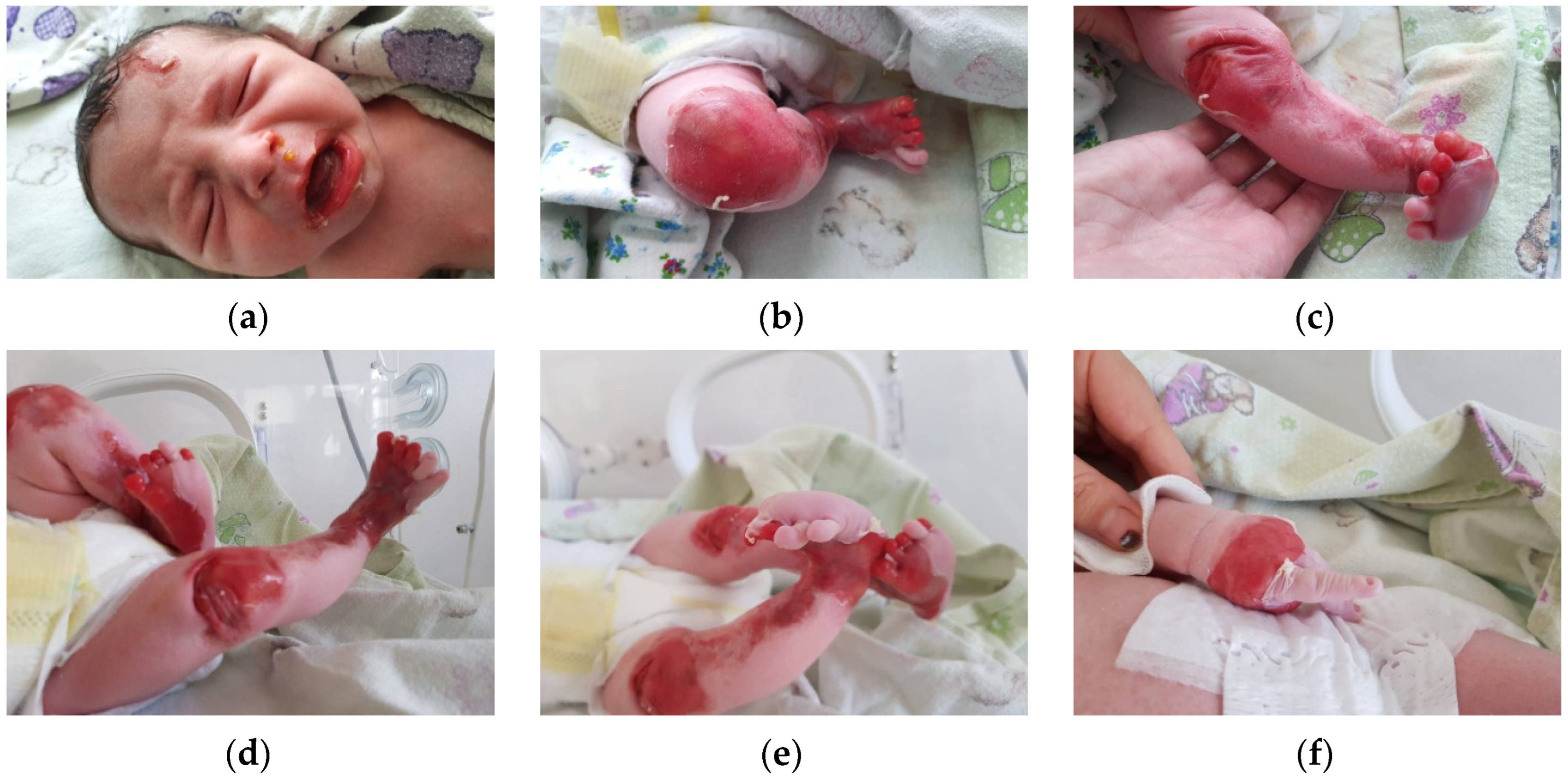 Clinpract 13 00079 g001 Clinpract 13 00079 g001