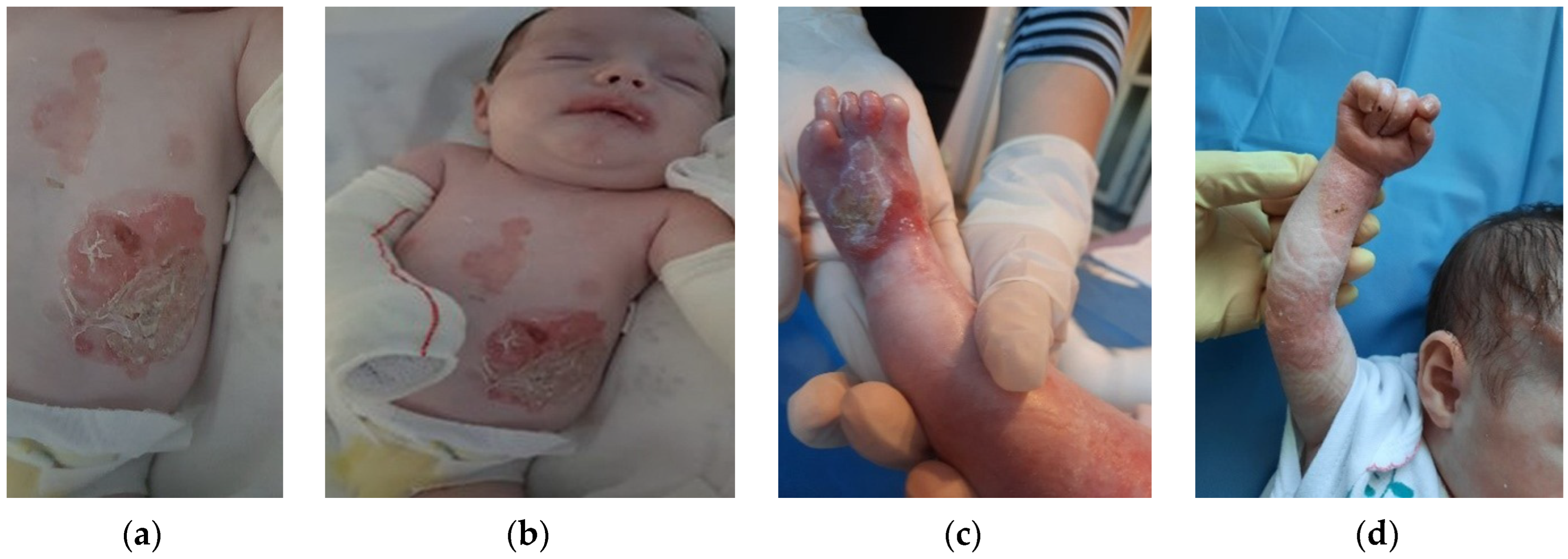 Clinpract 13 00079 g002 Clinpract 13 00079 g002