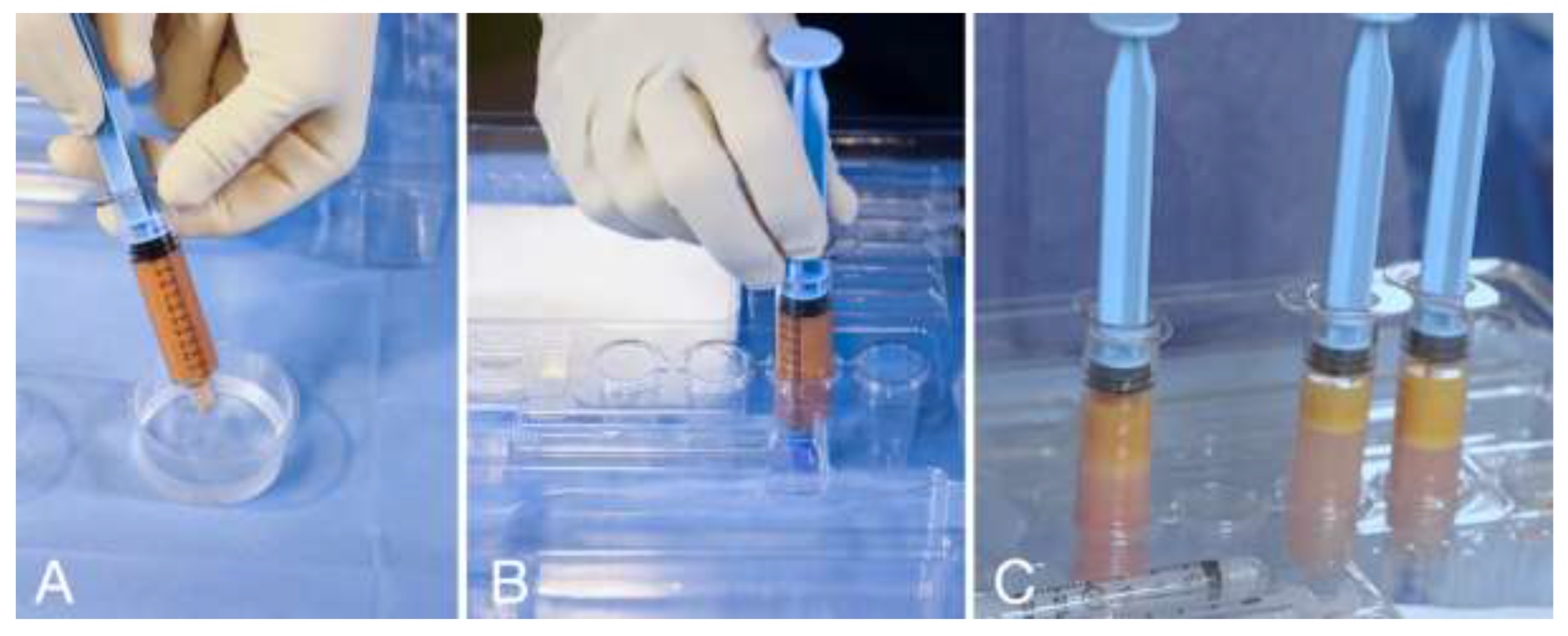 Clinpract 13 00085 g003