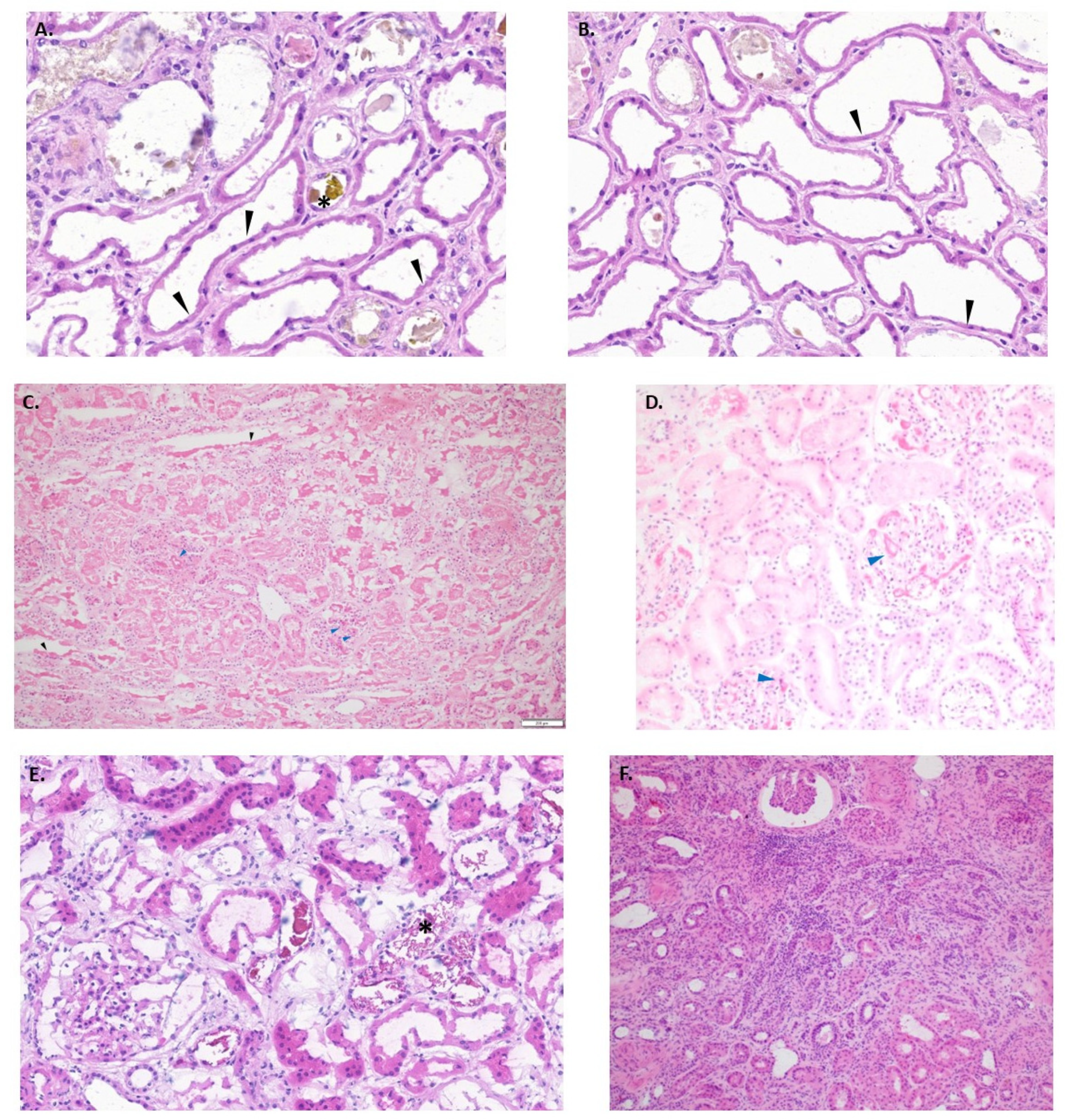 Clinpract 13 00086 g003