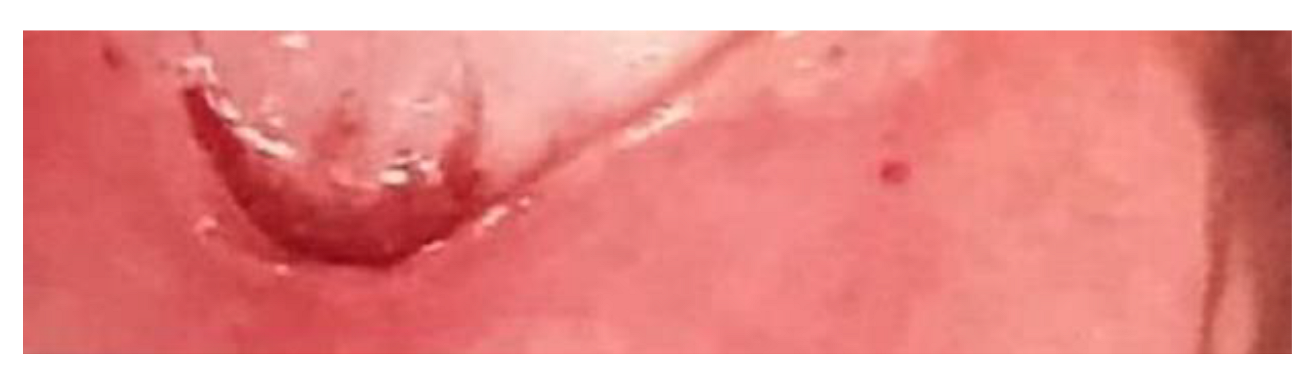 Clinpract 13 00091 g002