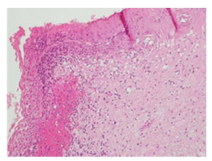 Clinpract 13 00091 g003