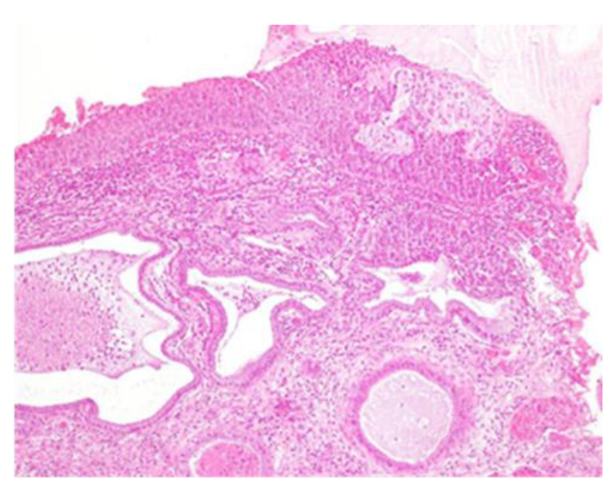 Clinpract 13 00091 g004