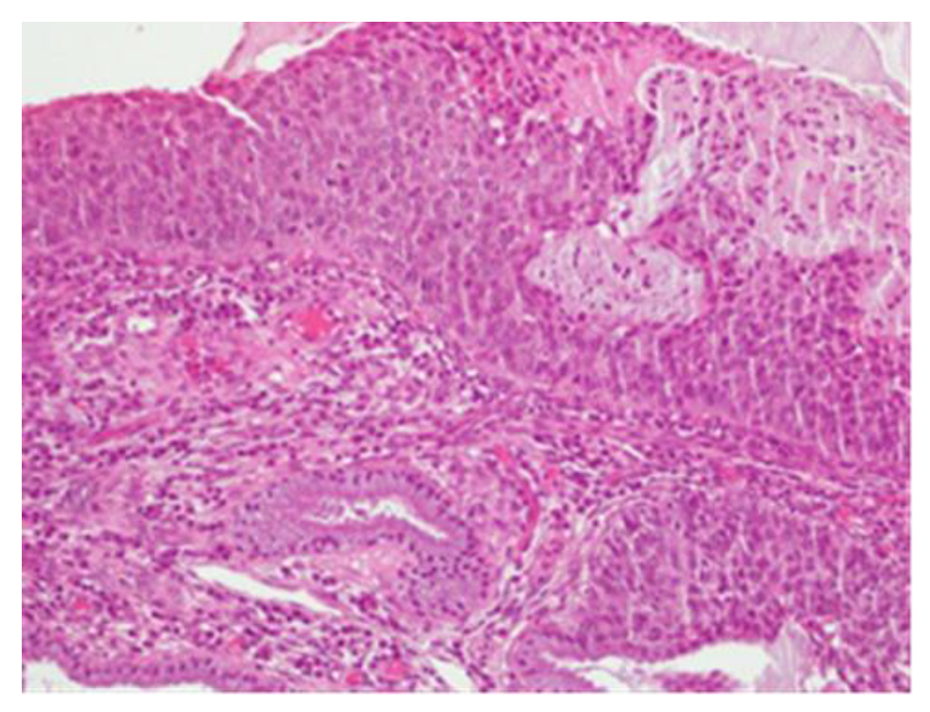 Clinpract 13 00091 g005